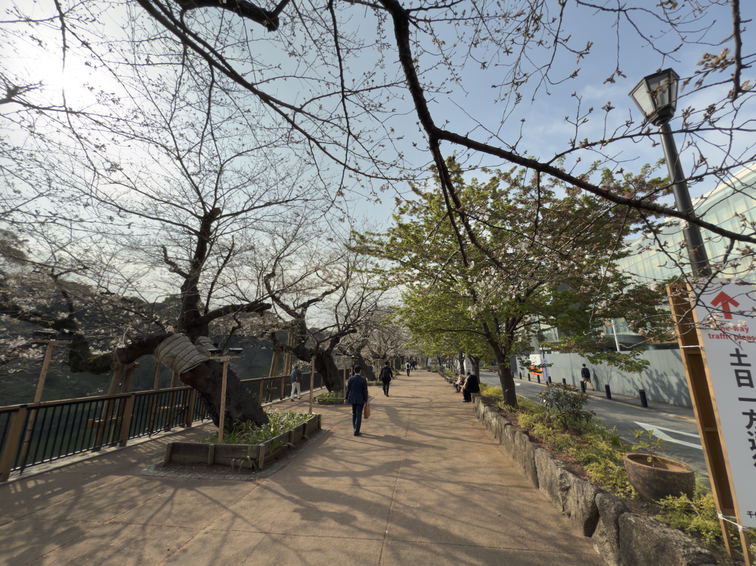 Chidorigafuchi Greenway