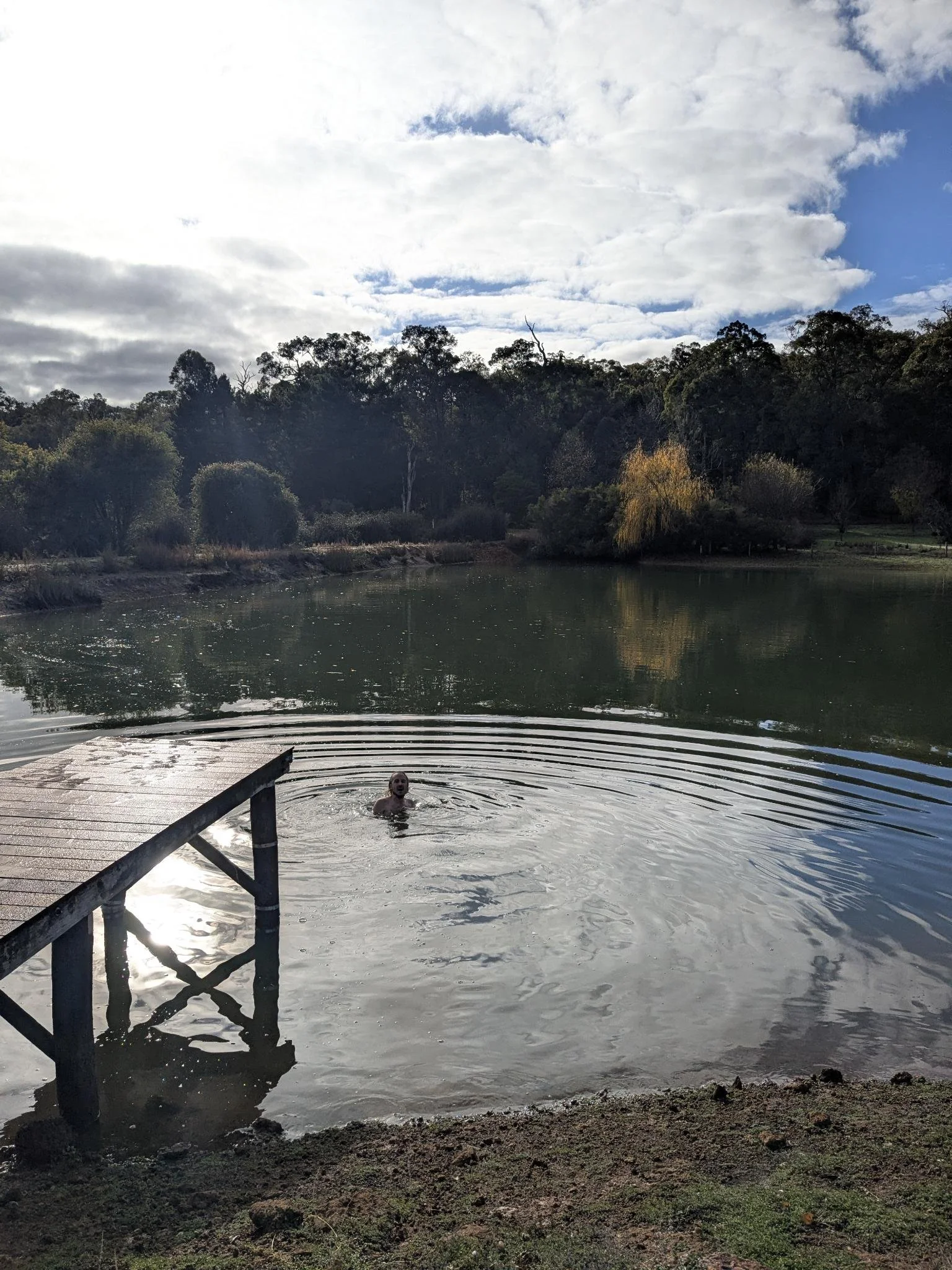 Forest Immersion 2026 - Cold Plunge