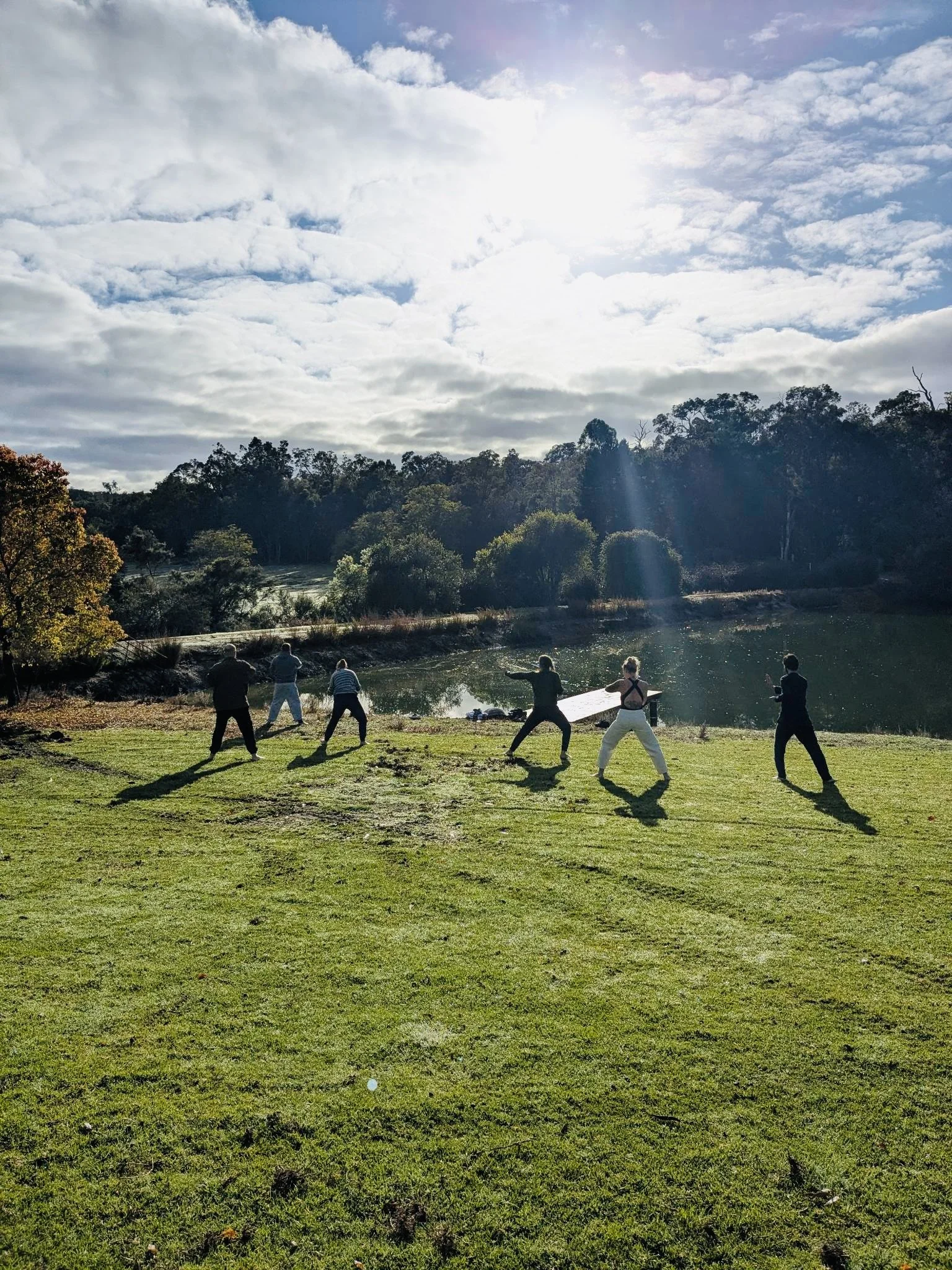 Forest Immersion 2026 - Breath and Movement 