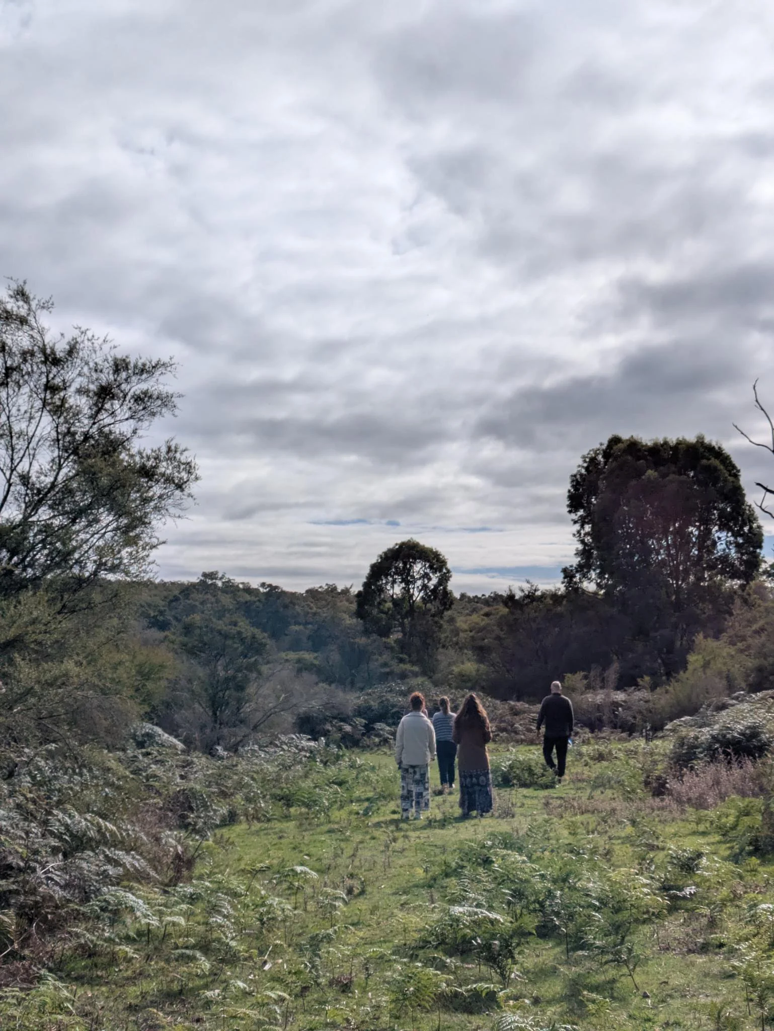 Forest Immersion 2026 - Group walk and land connection