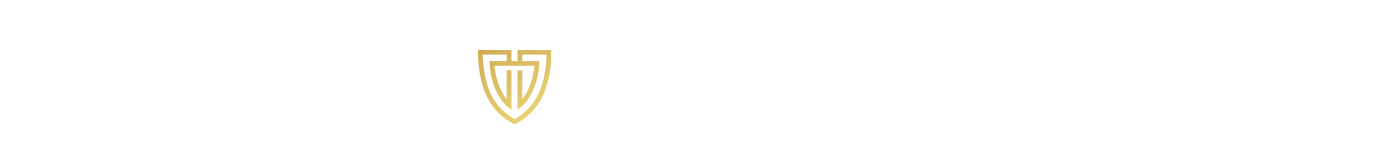 Aegis Defender