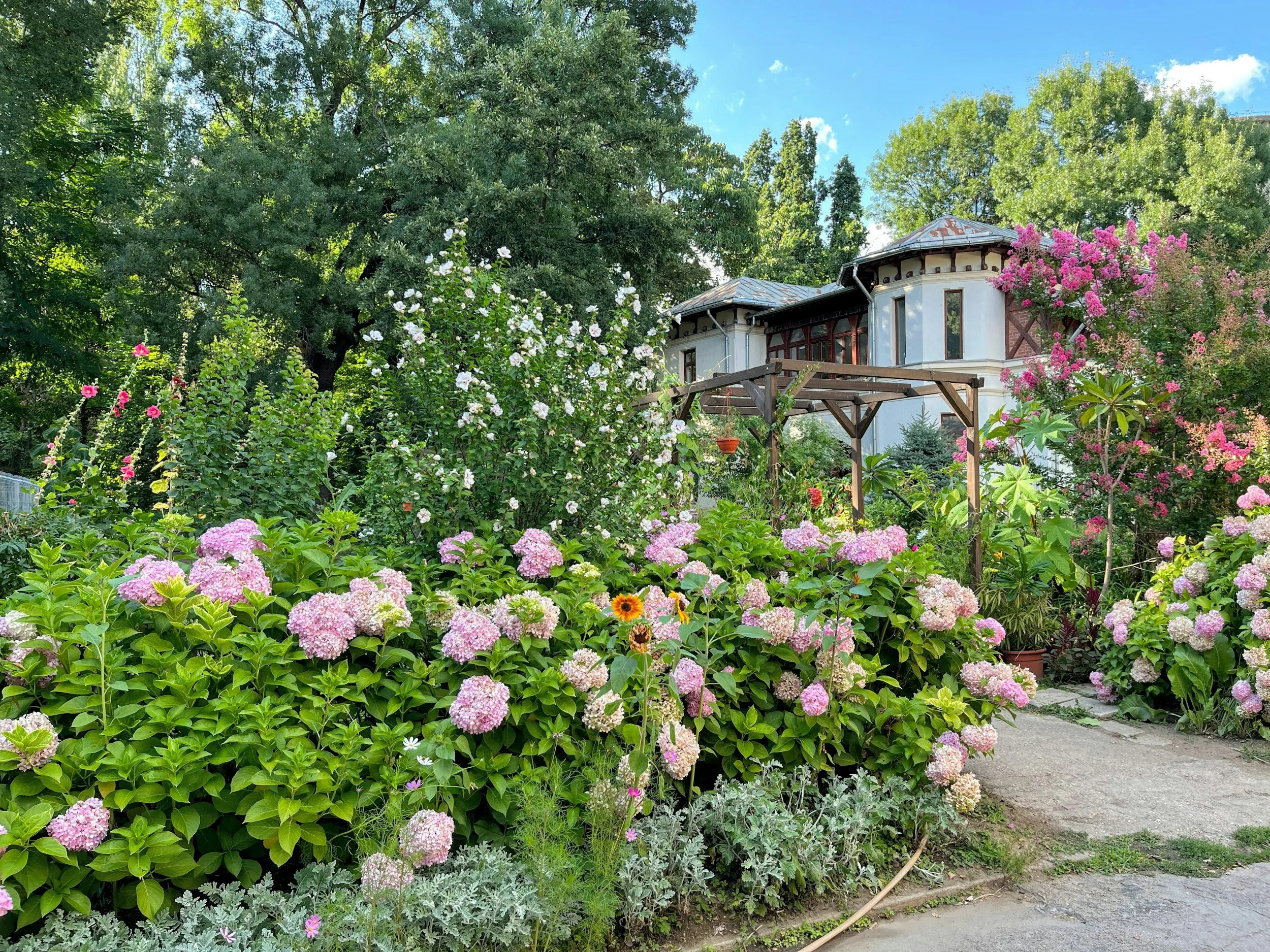 How Often Should You Maintain Your Garden in Cooranbong?