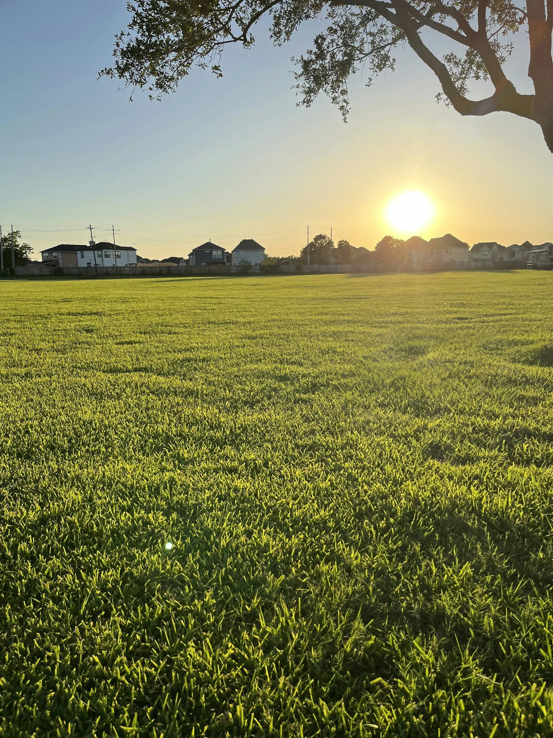 Lawn Care Services in Cooranbong: How to Keep Your Lawn Green &amp; Weed-Free All Year