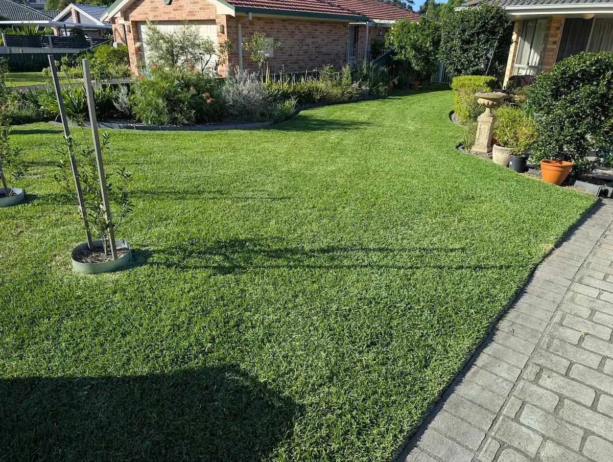 How to Keep Your Lawn Healthy Through Winter in Lake Macquarie