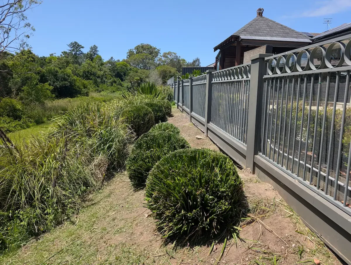 The Best Time to Prune Hedges and Shrubs in the Lake Macquarie
