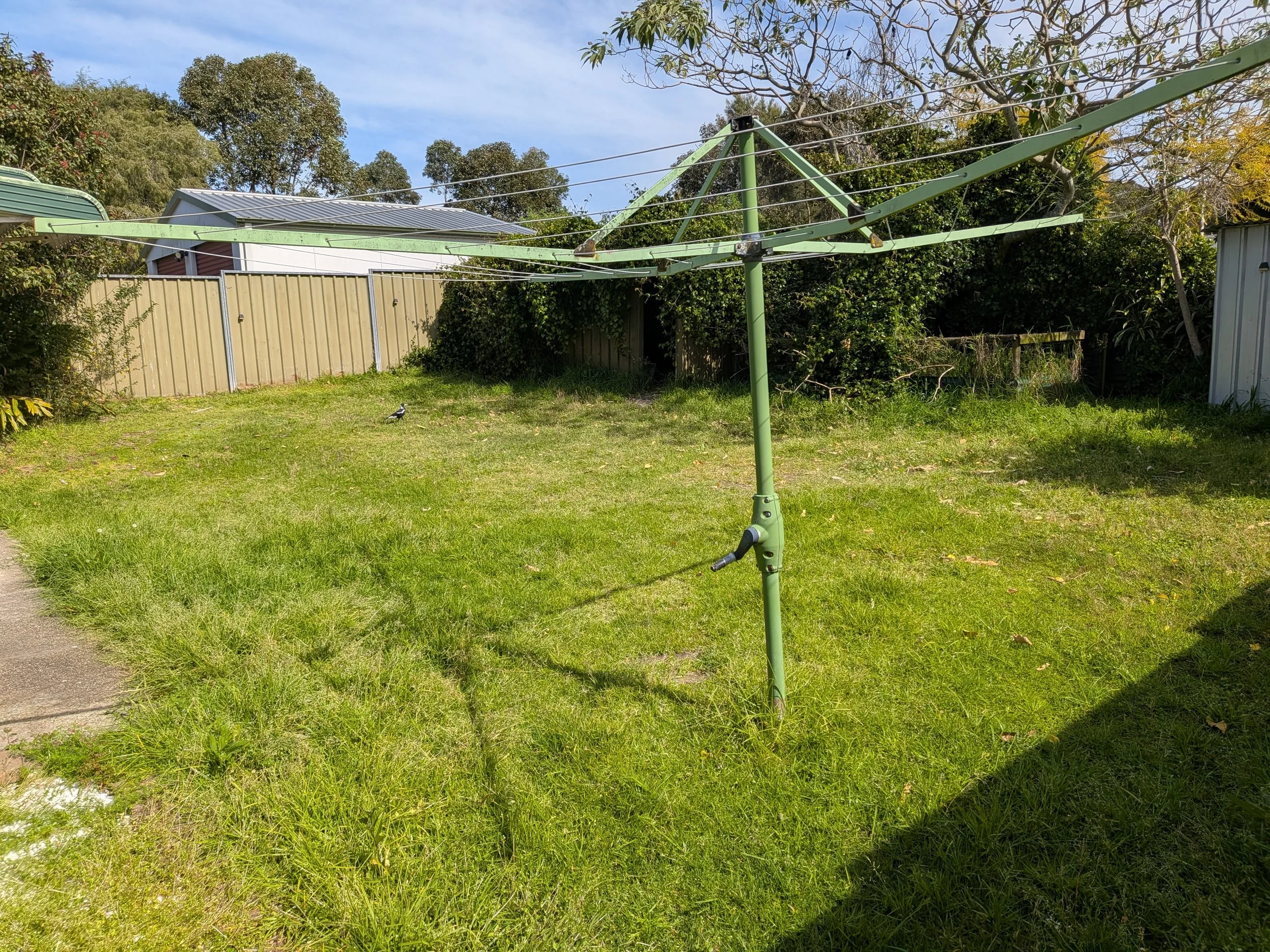 Overgrown lawn under clotheline