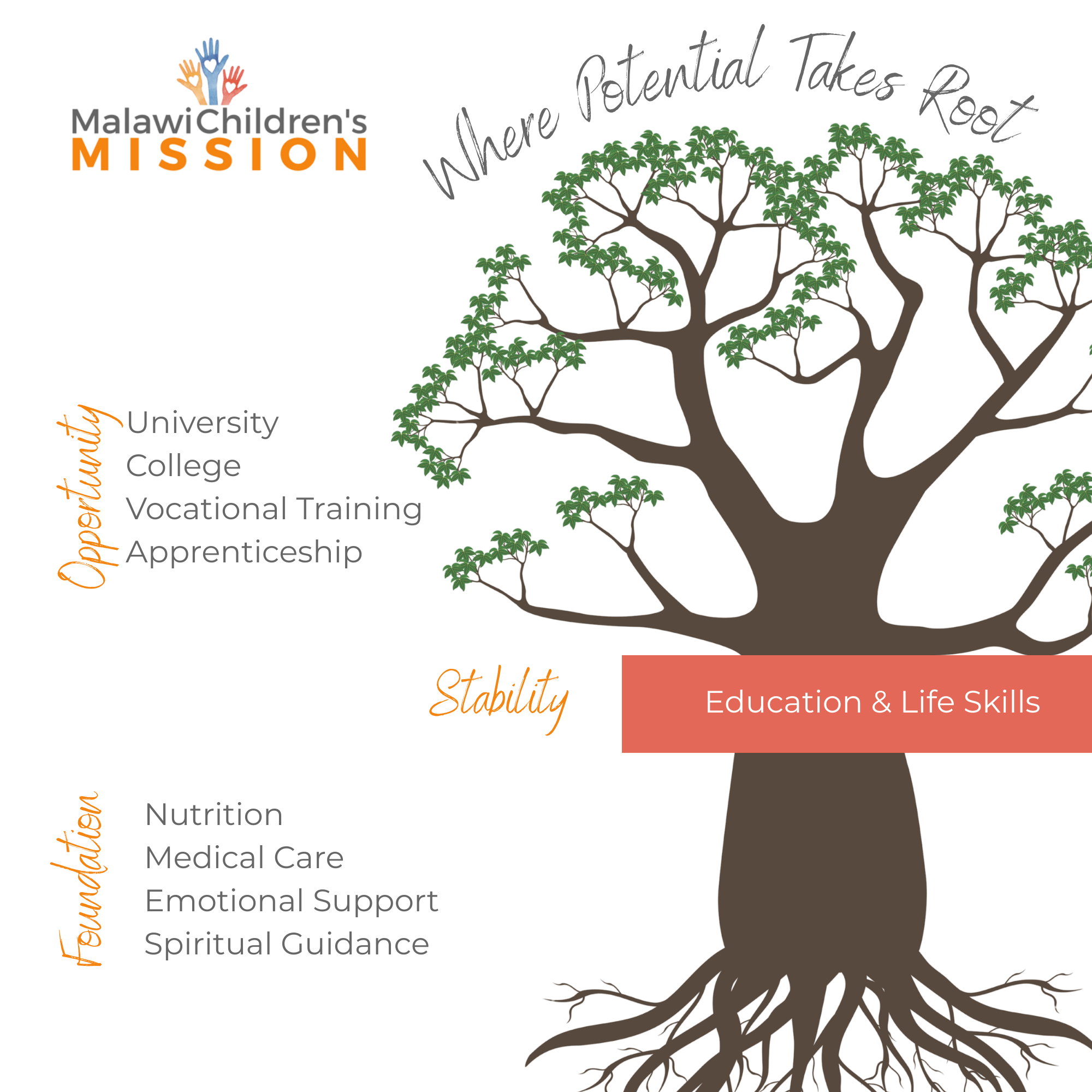 Where Potential Takes Root