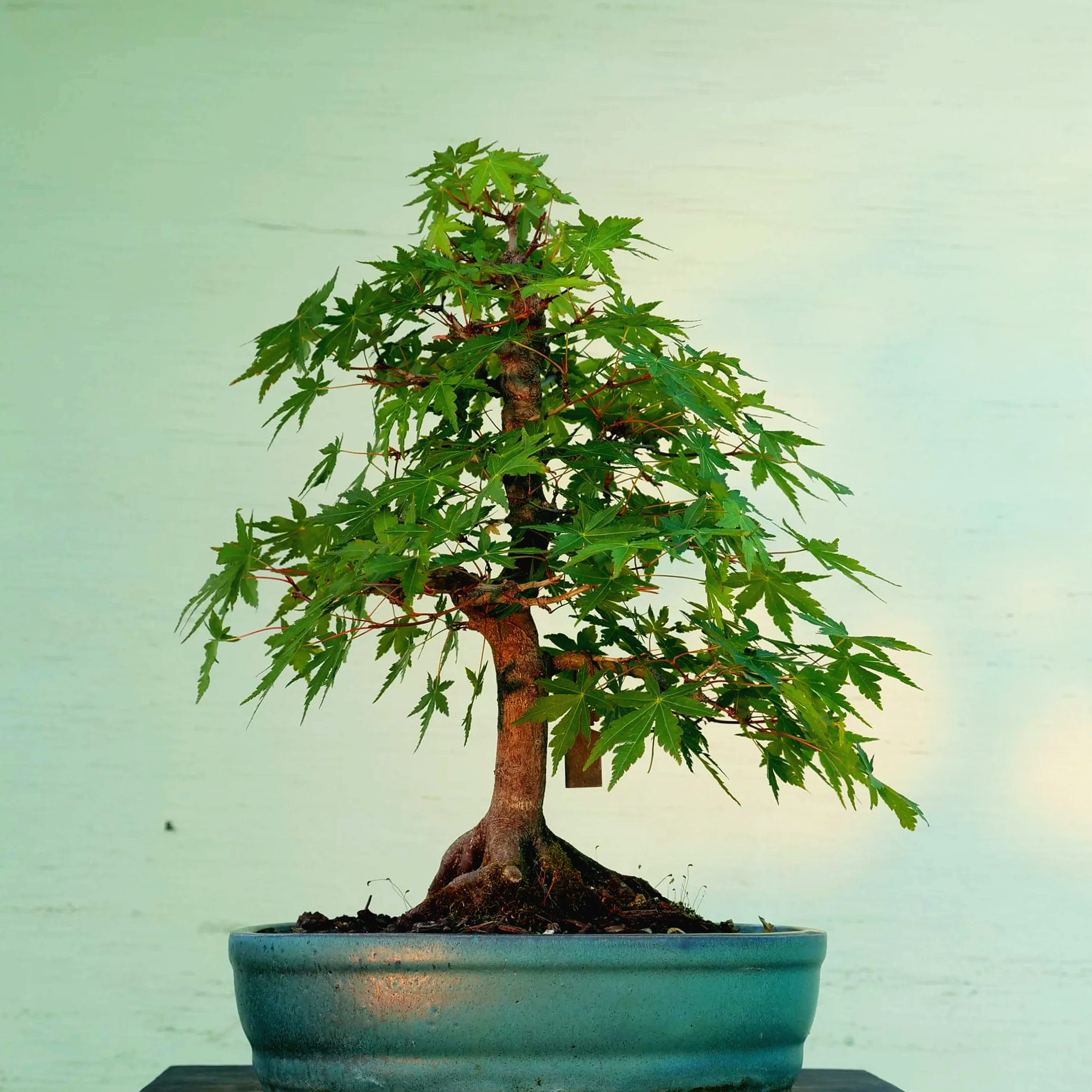 P1024511.png