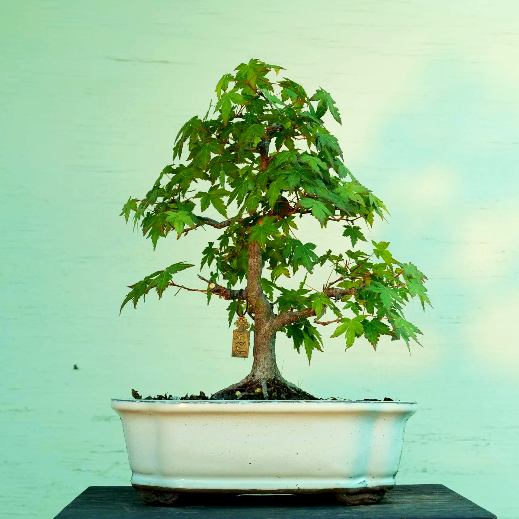 P1024530.png
