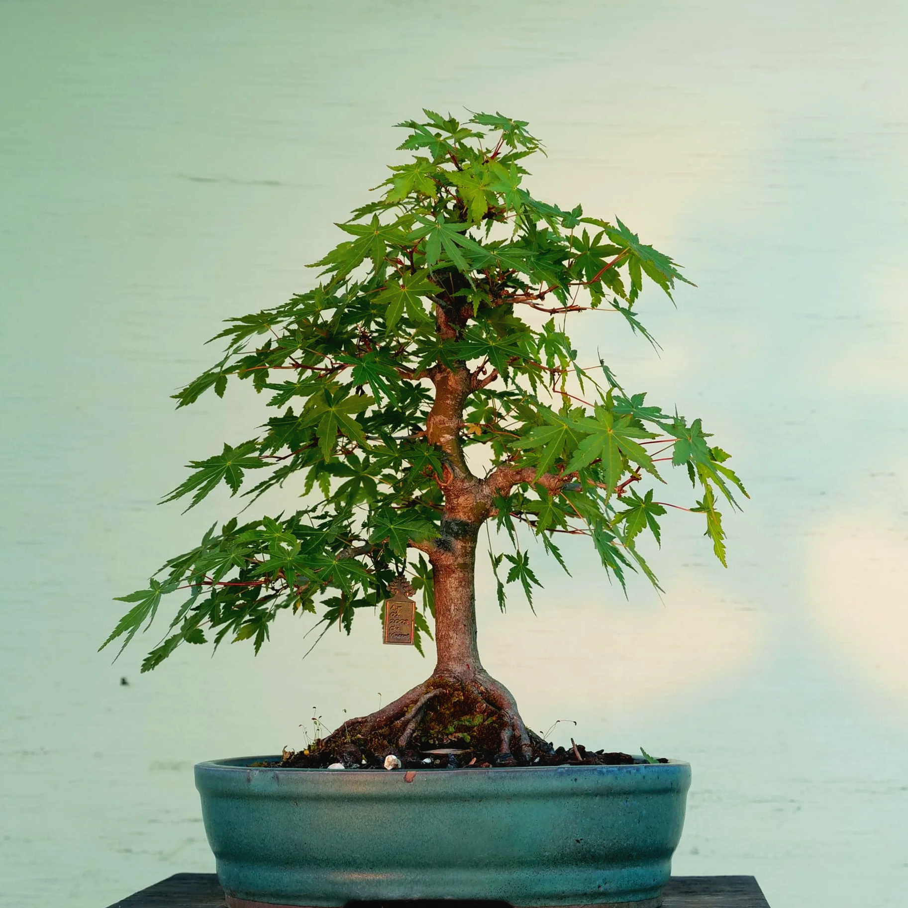 P1024510.png