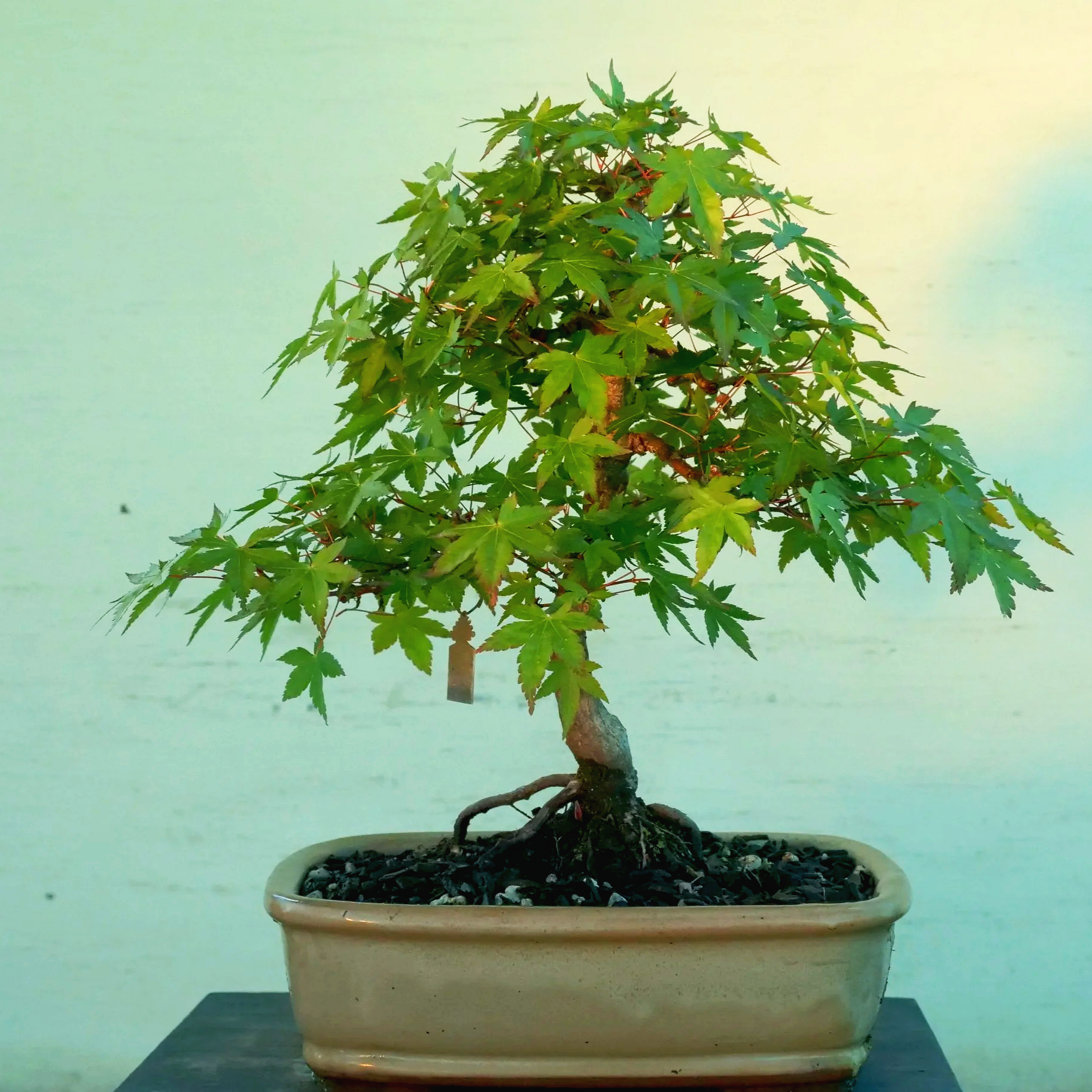 P1024446.png