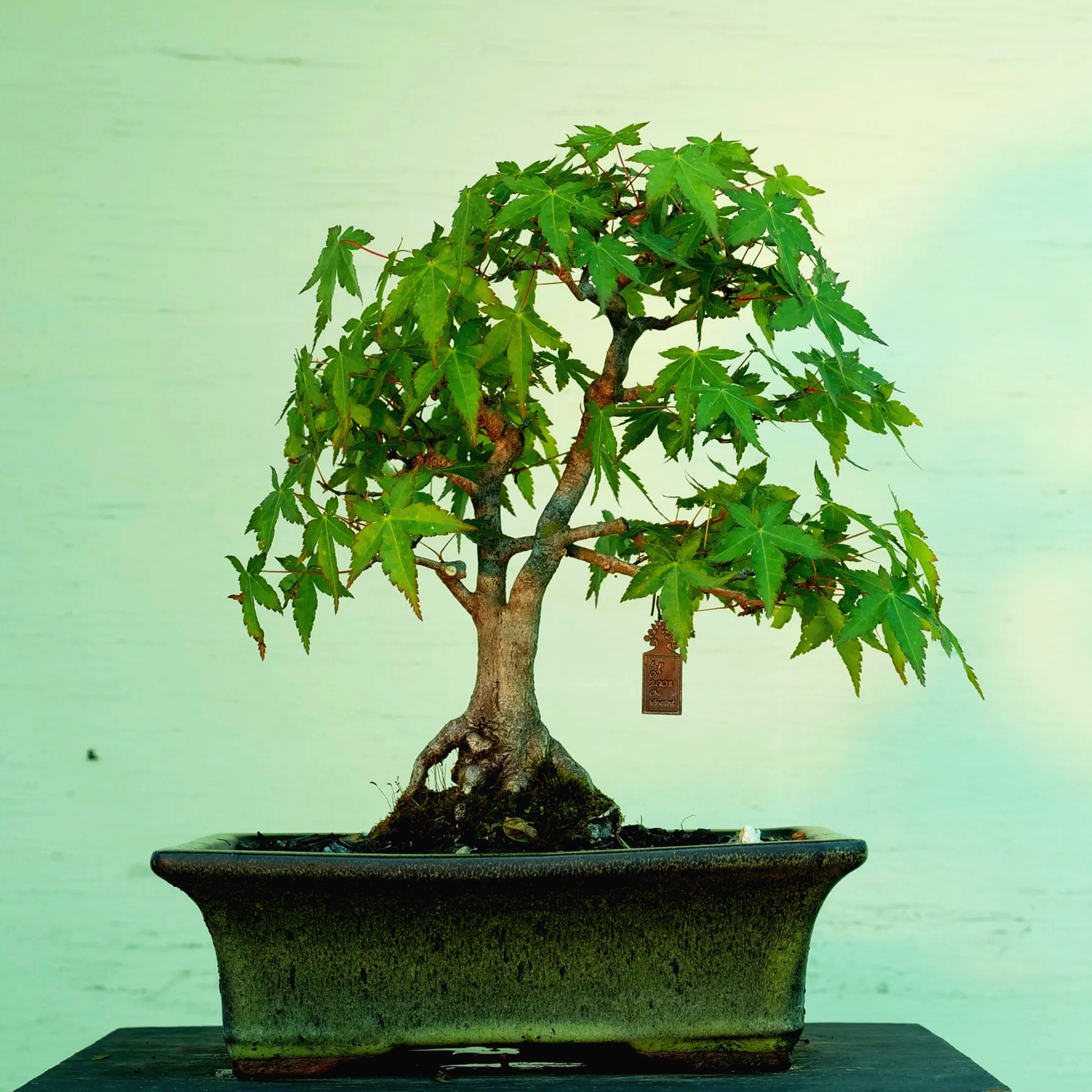 P1024543.png