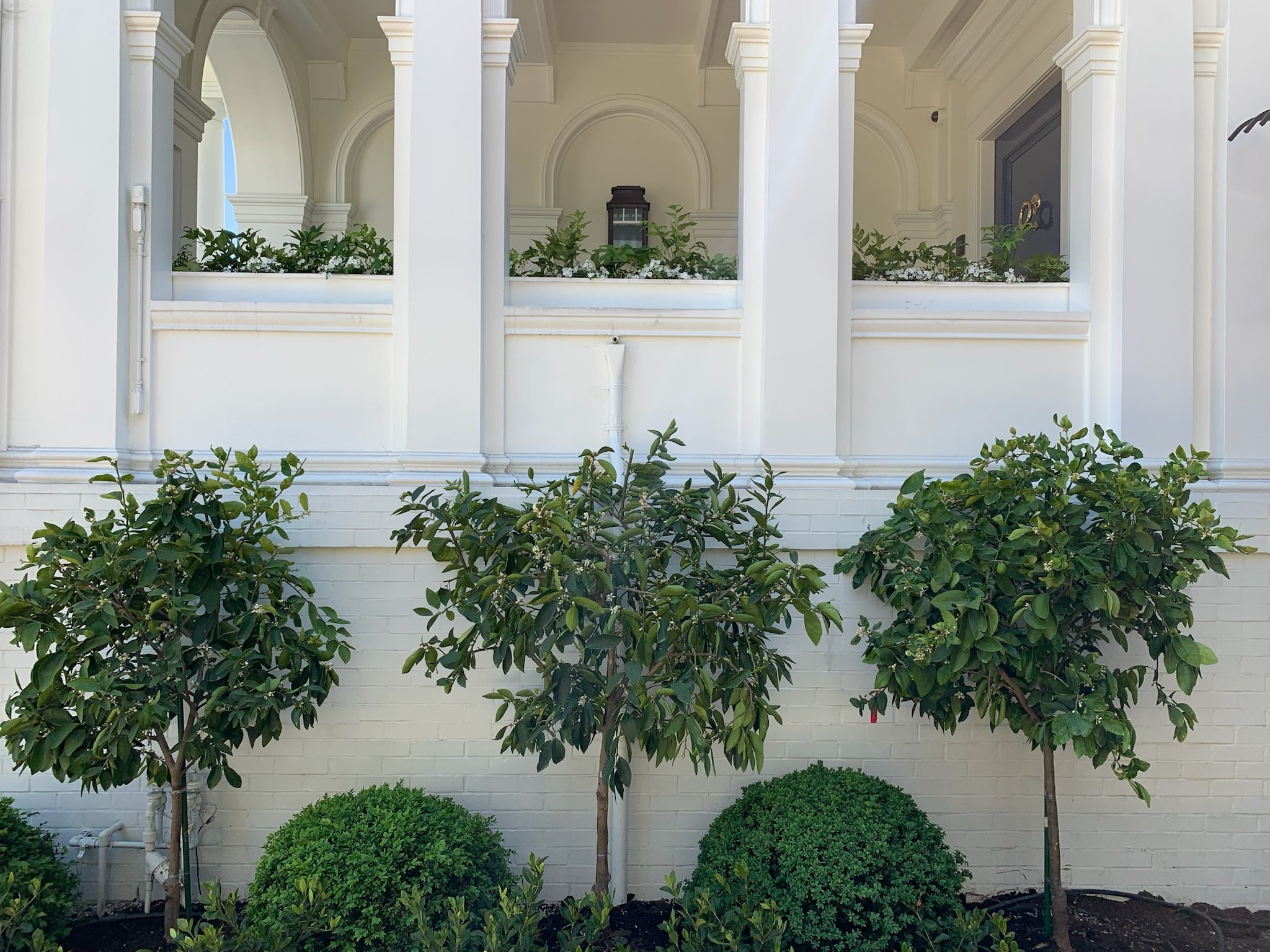 Presidio Heights