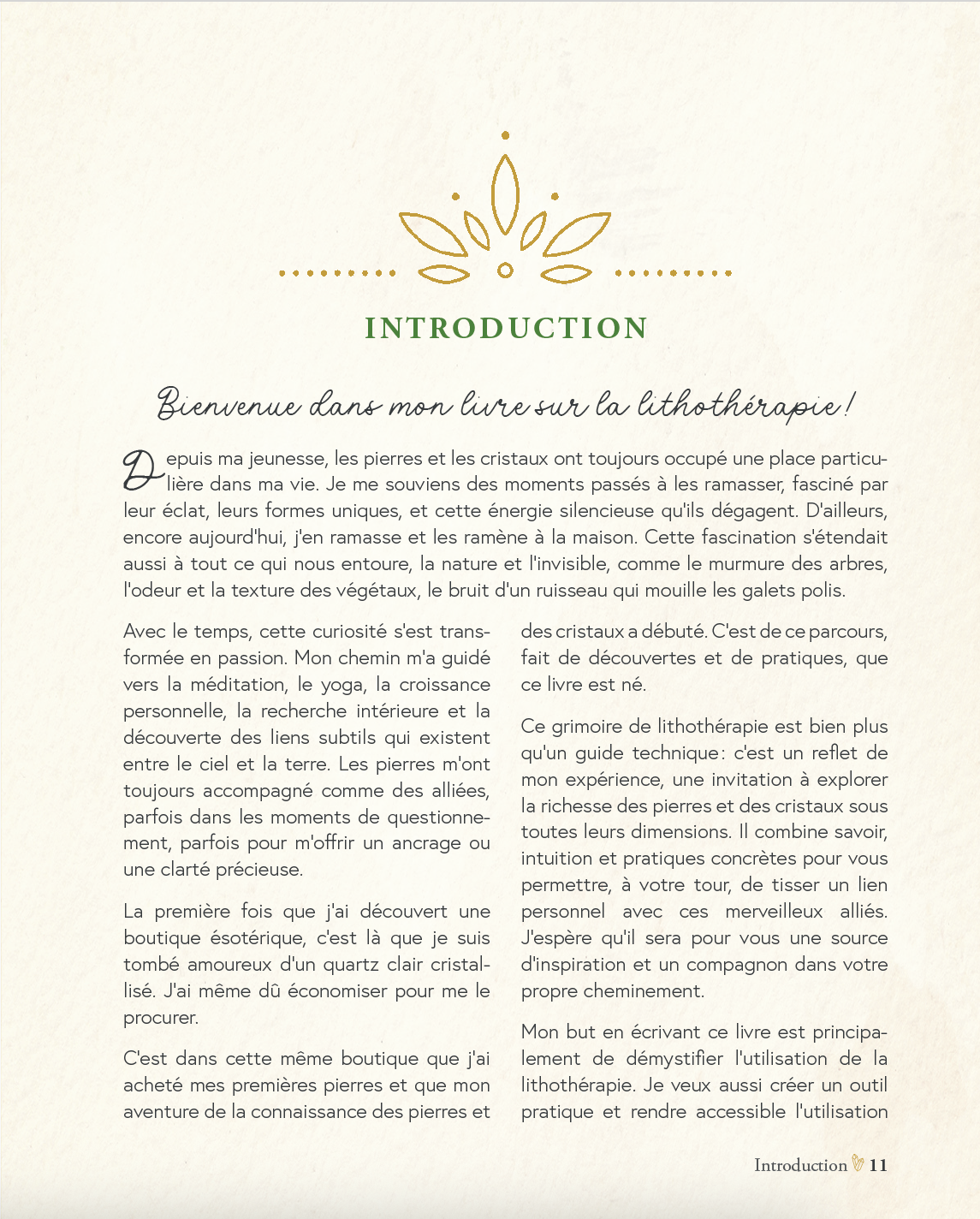 Mon Grimoire de lithotherapie_la_lumiere_d_alcyone.png