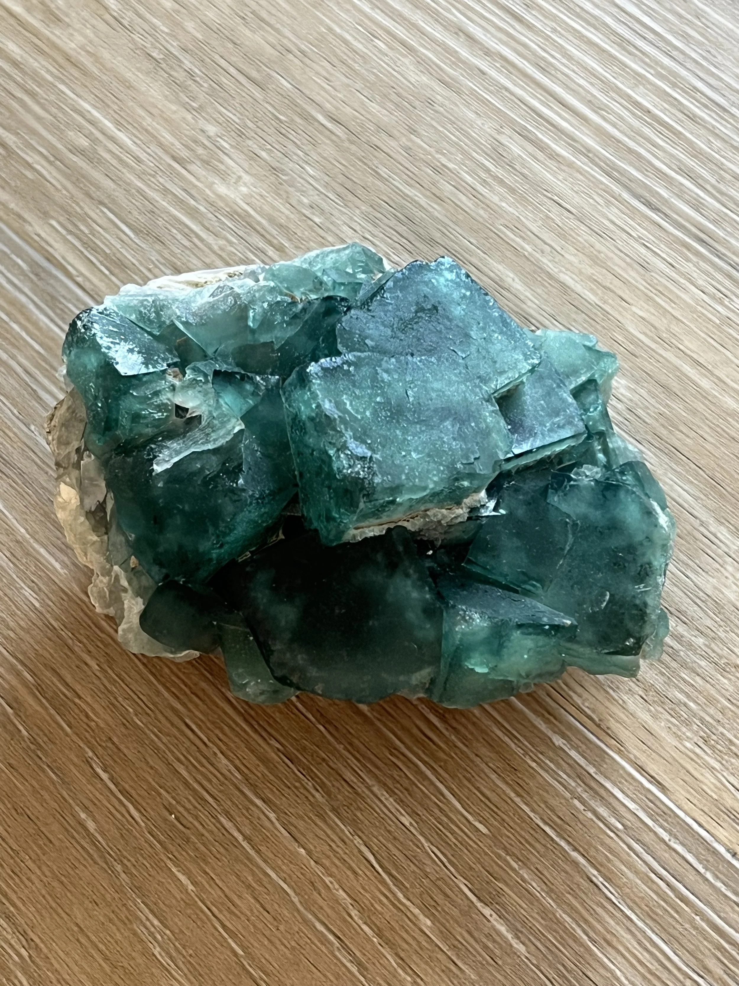 La_lumiere_dalcyone_fluorite_verte_221g (1).jpg