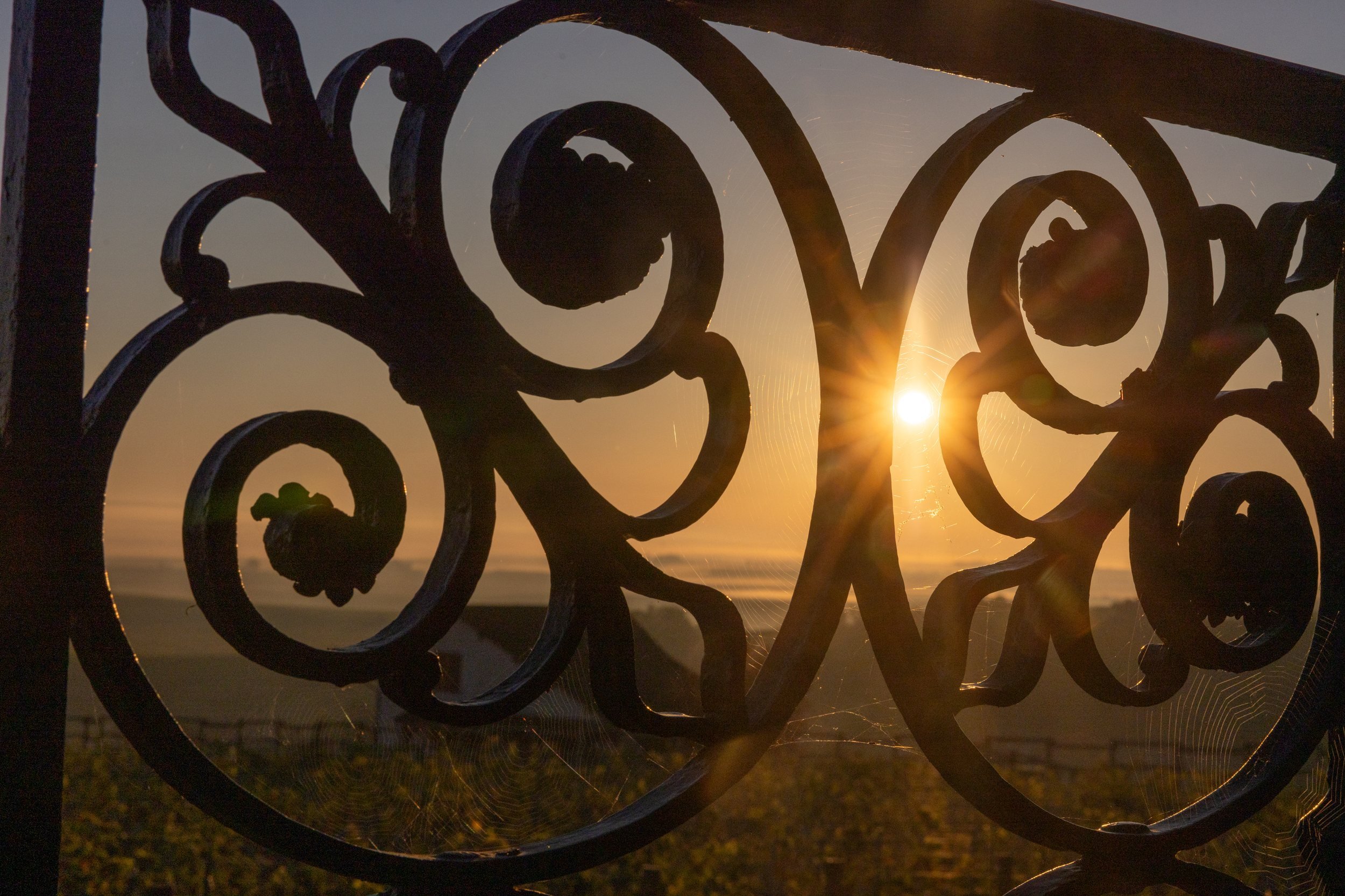 Wrought-iron scrollwork frames the sun rising over the Champagne plain at Manoir de Verzy, near Reims.