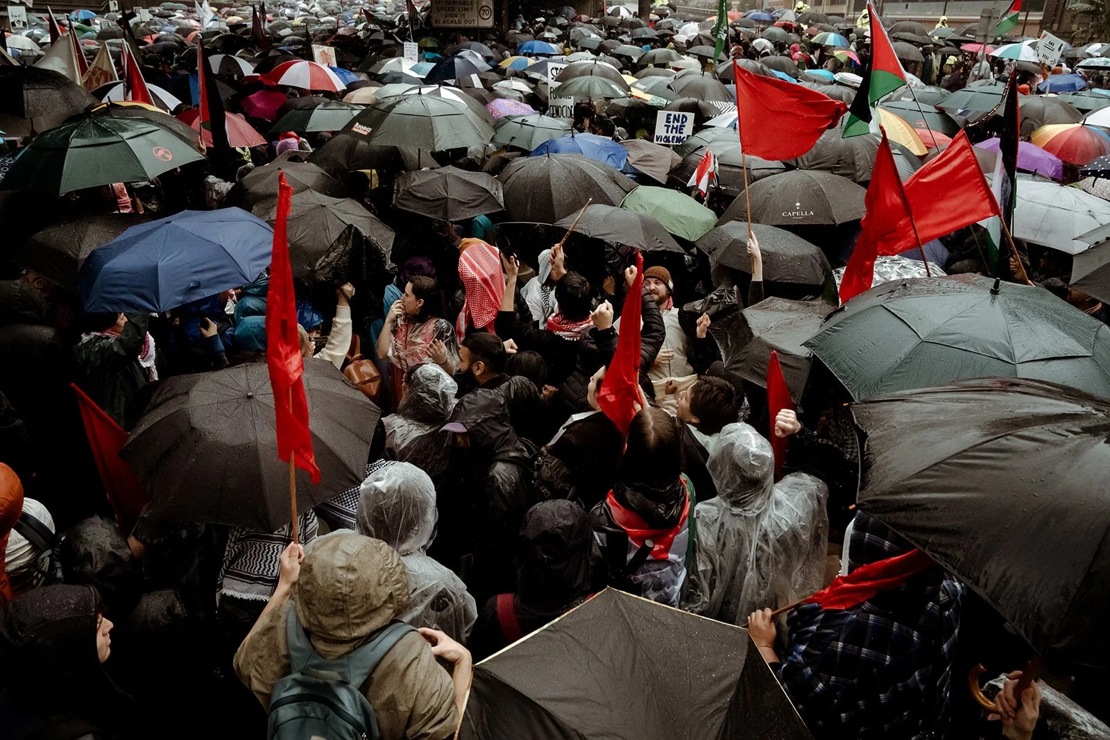 Ripple Narratives_ March for Humanity_ Save Gaza-31.jpg
