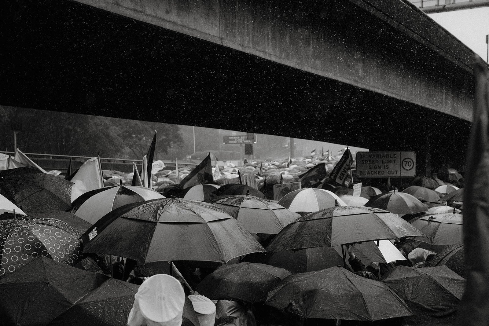 Black and white frame of umbrellas packed together in the rain at the March for Humanity