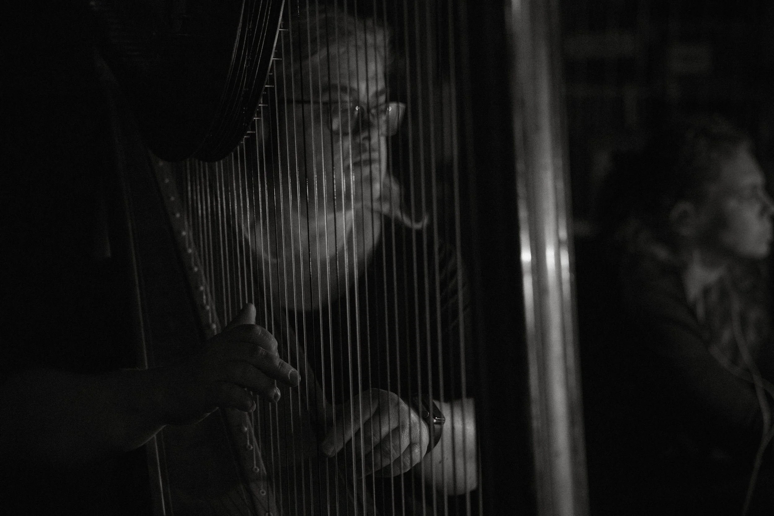 Black and white portrait of the harpist through the strings in the orchestra pit