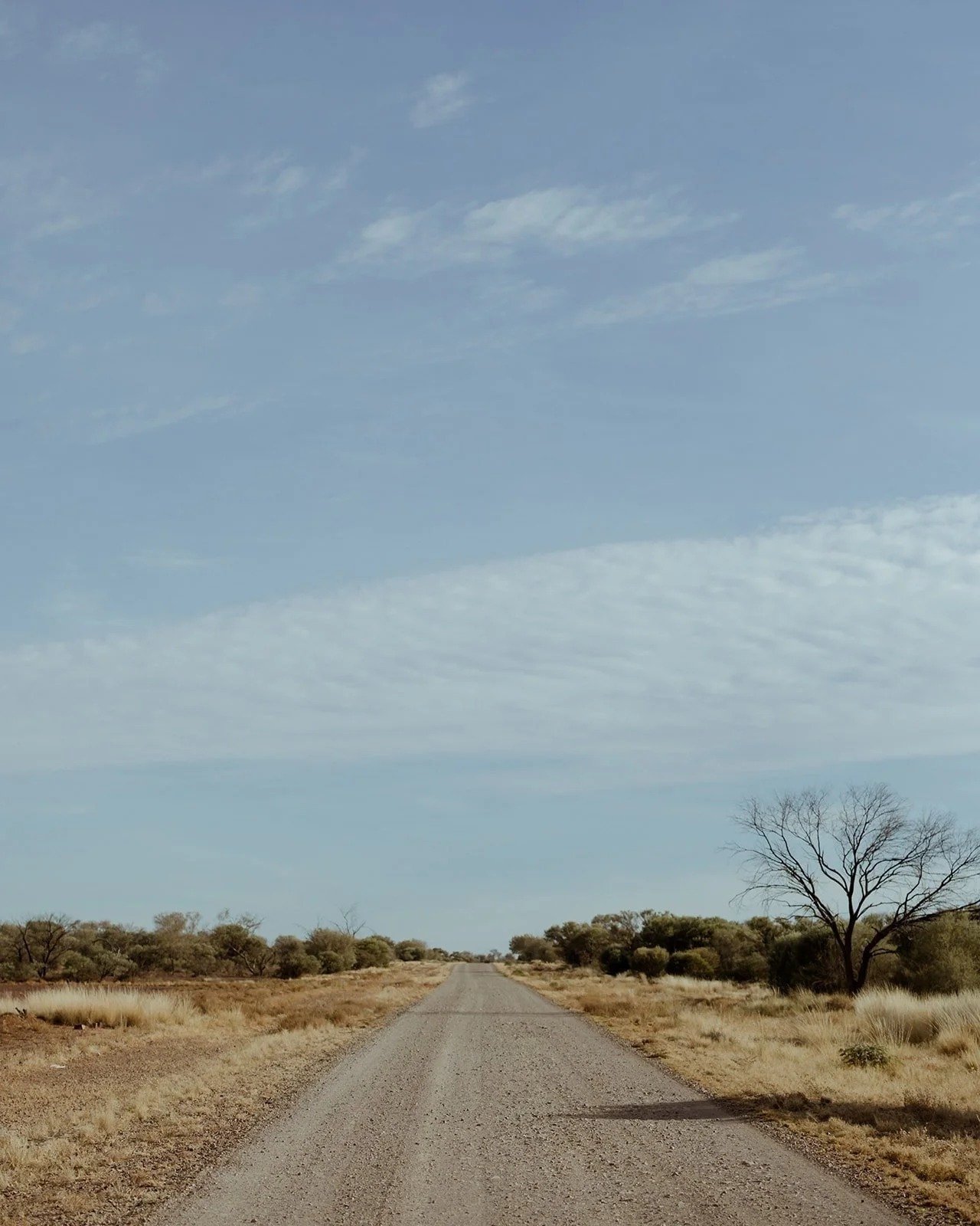 A red dirt road running to the horizon through spinifex in the East Pilbara