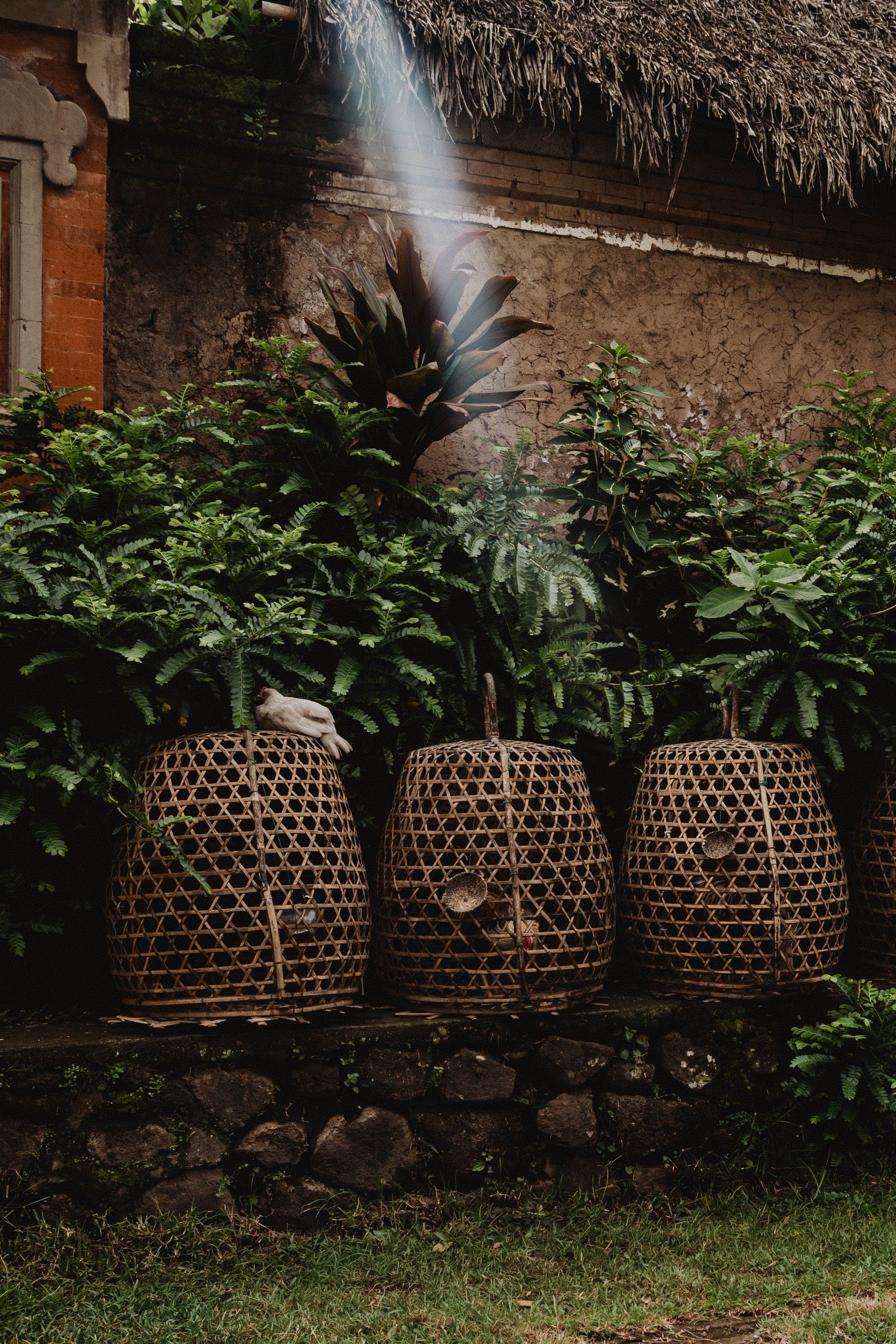 Bail - Street Project - Ripple Narrative - Photos by Luke Gemmill 202618.jpg