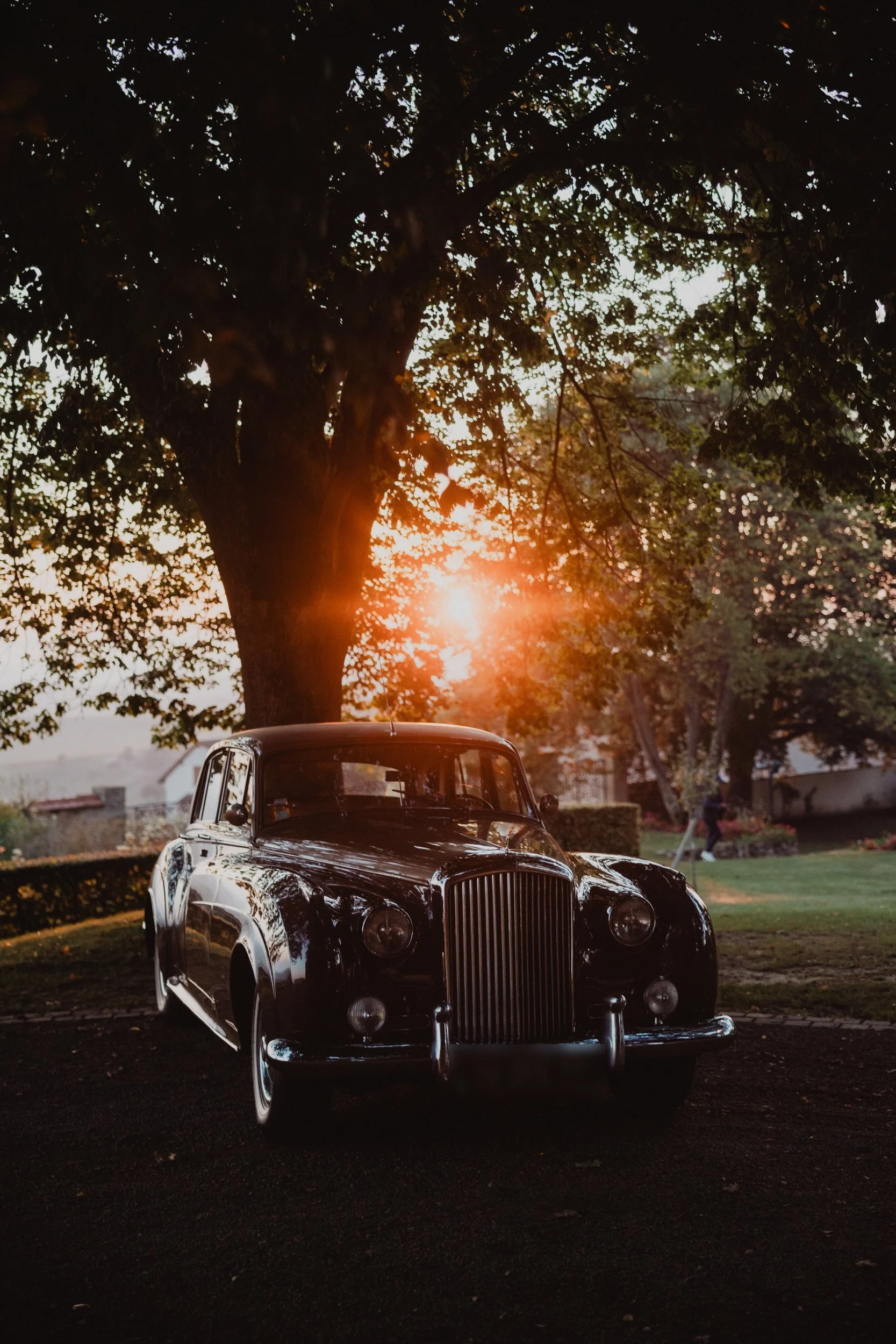 A vintage saloon car parked under a tree as the sun comes through the branches.