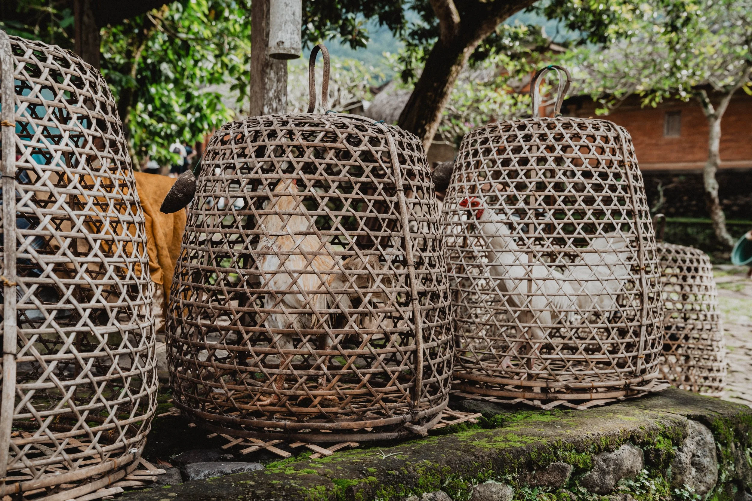 Bail - Street Project - Ripple Narrative - Photos by Luke Gemmill 202617.jpg