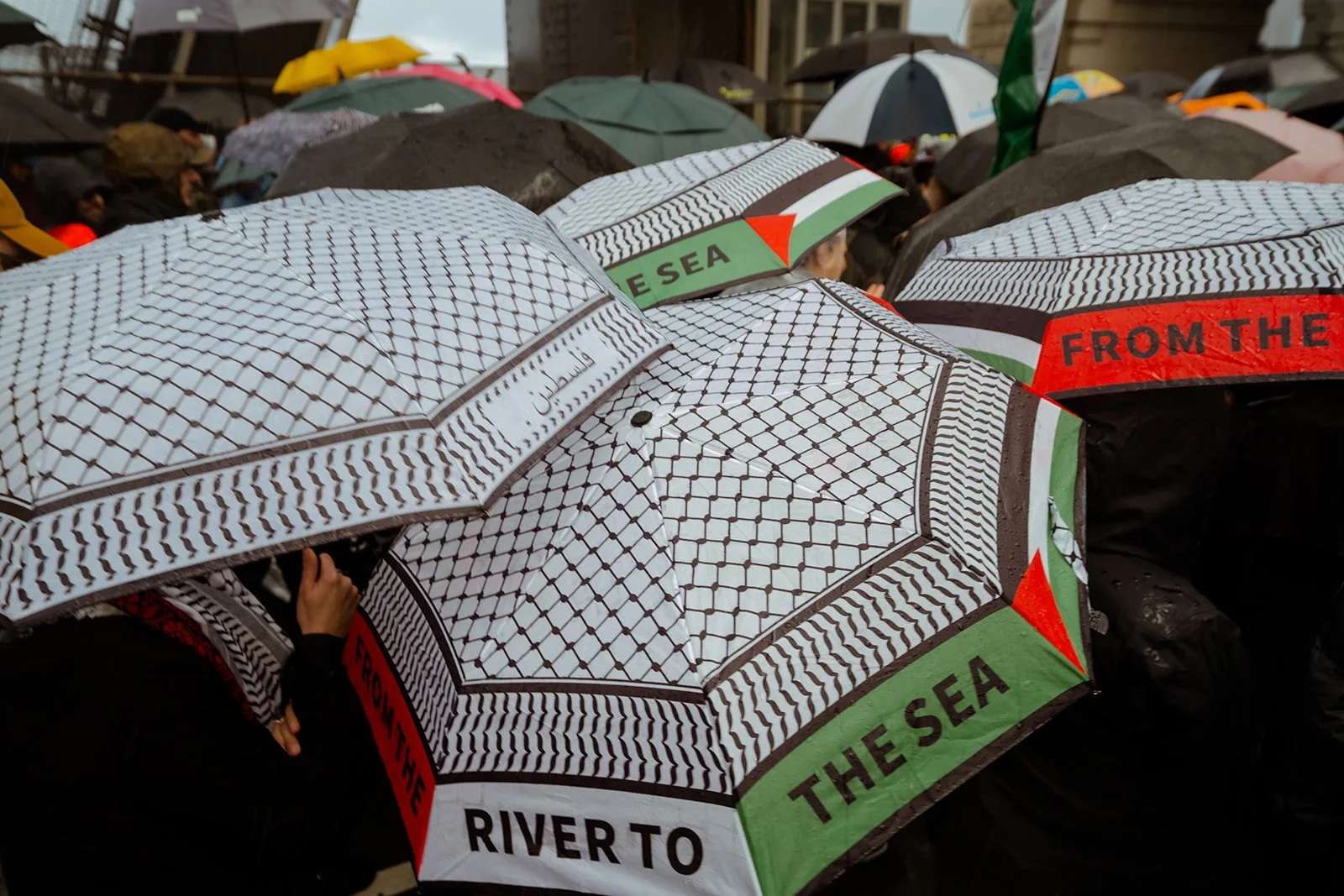 Ripple Narratives_ March for Humanity_ Save Gaza-105.jpg