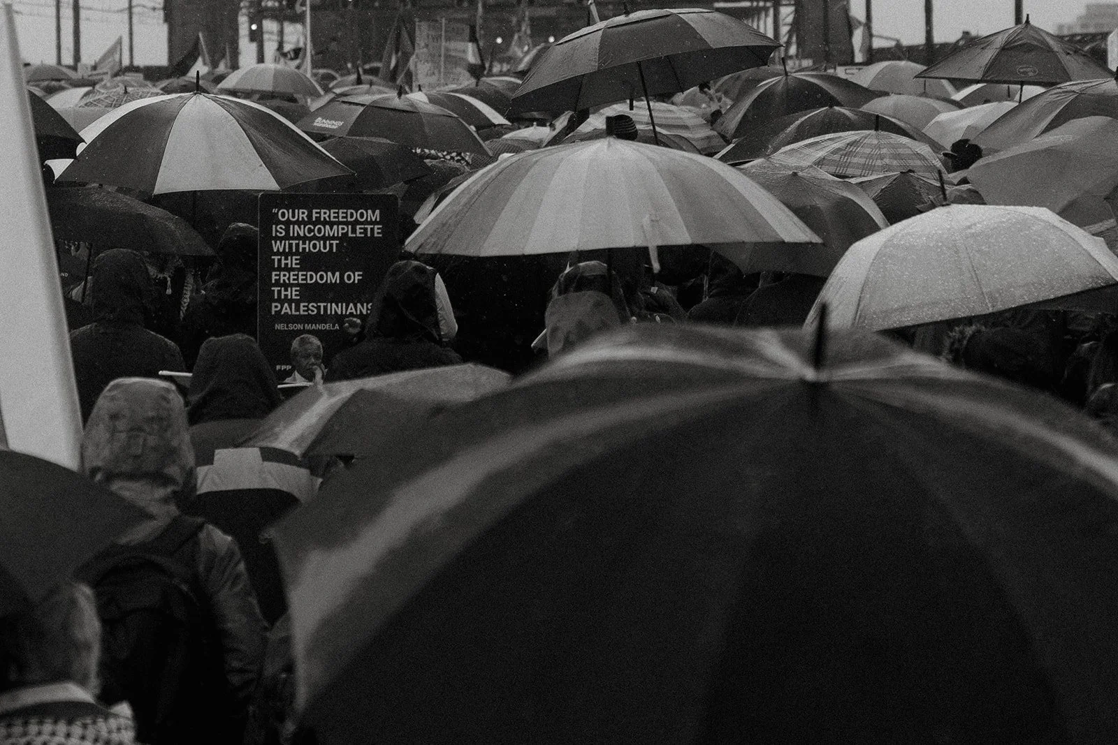 Ripple Narratives_ March for Humanity_ Save Gaza-45.jpg