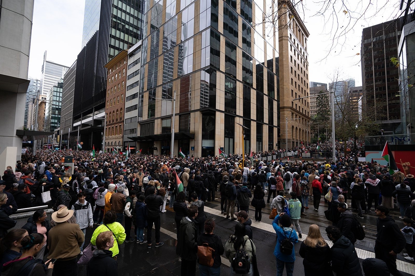 Crowds filling a city street in Sydney at the March for Humanity, 3 August 2025