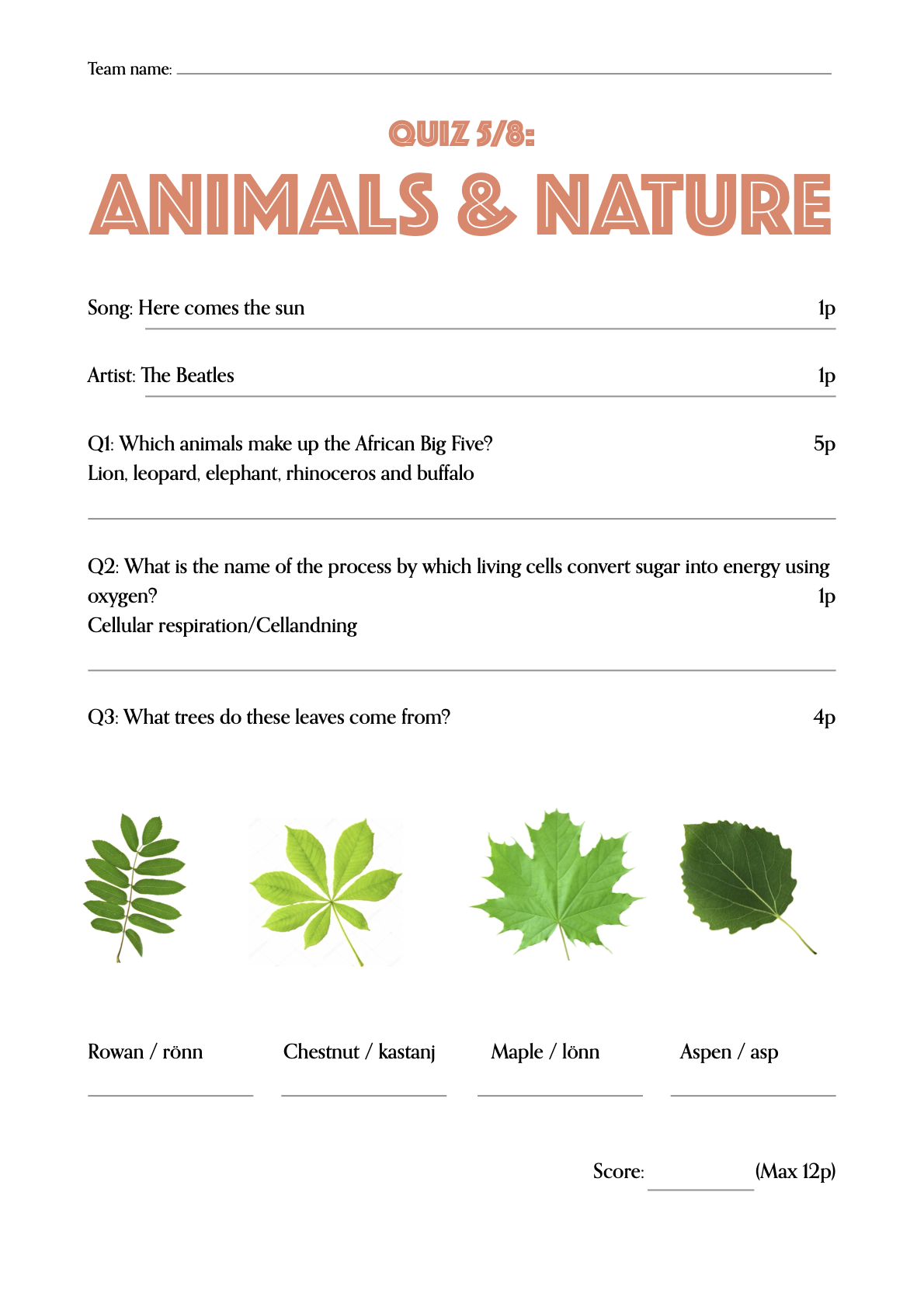 A4 - Quiz FACIT.5.png