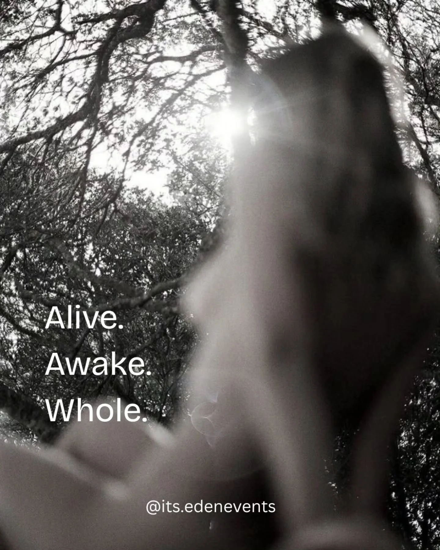 Alive.
Awake.
Whole. 

These are not aspirational words for us, they are what we have watched happen when women are given enough space, enough safety, and enough permission to stop bracing against themselves and start listening instead.

She remember