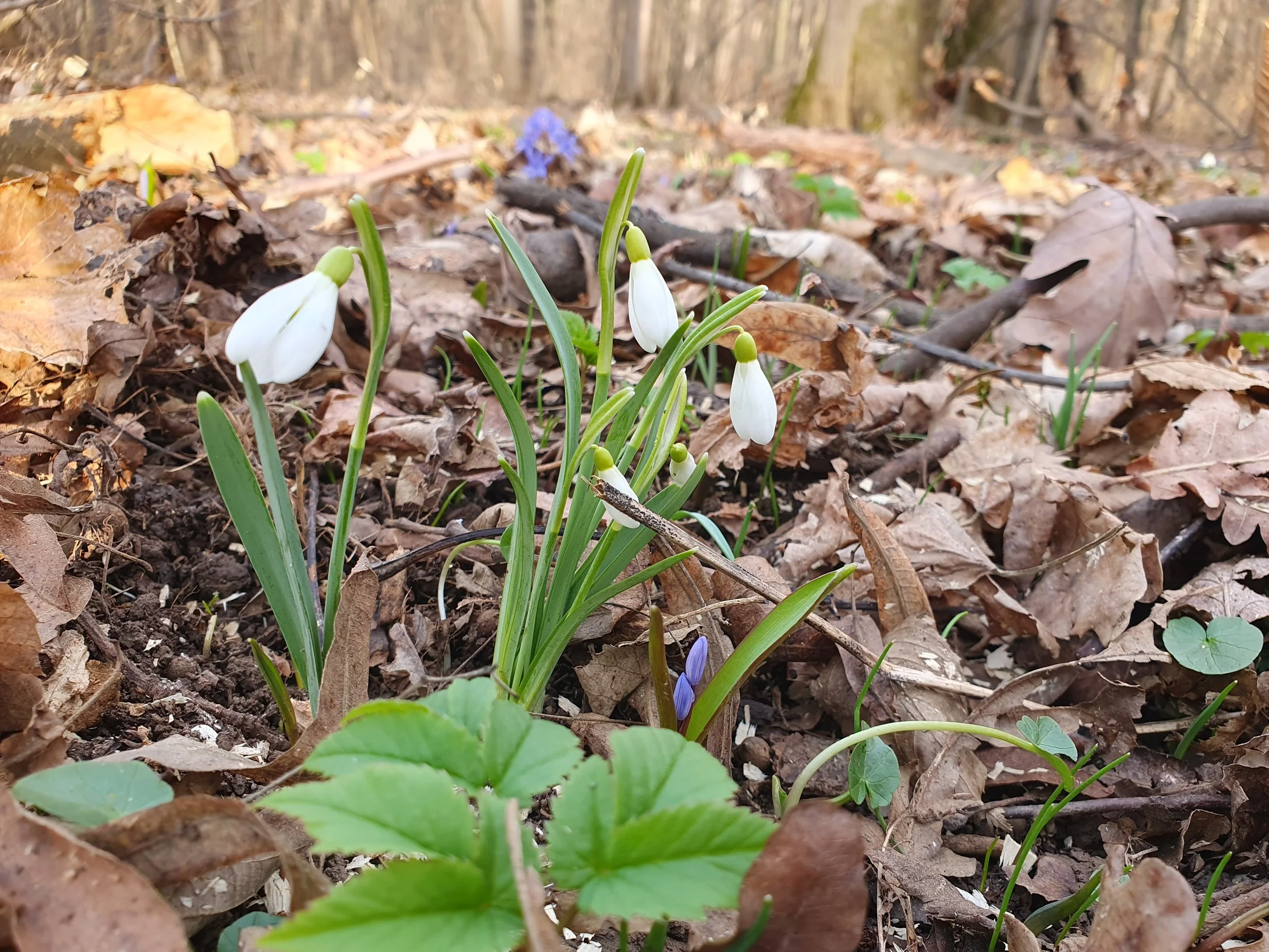 Psihoterapia este și pentru tine