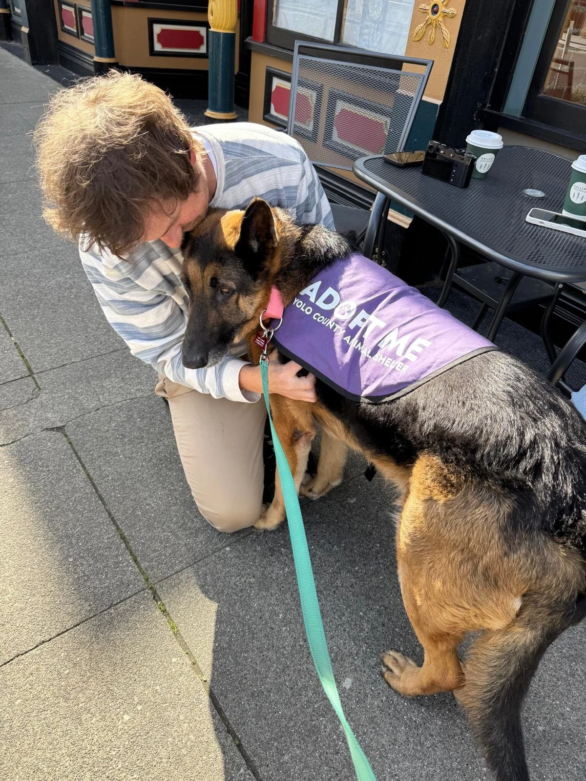 Puppies + Lattes: Dog Adoption Event in Woodland