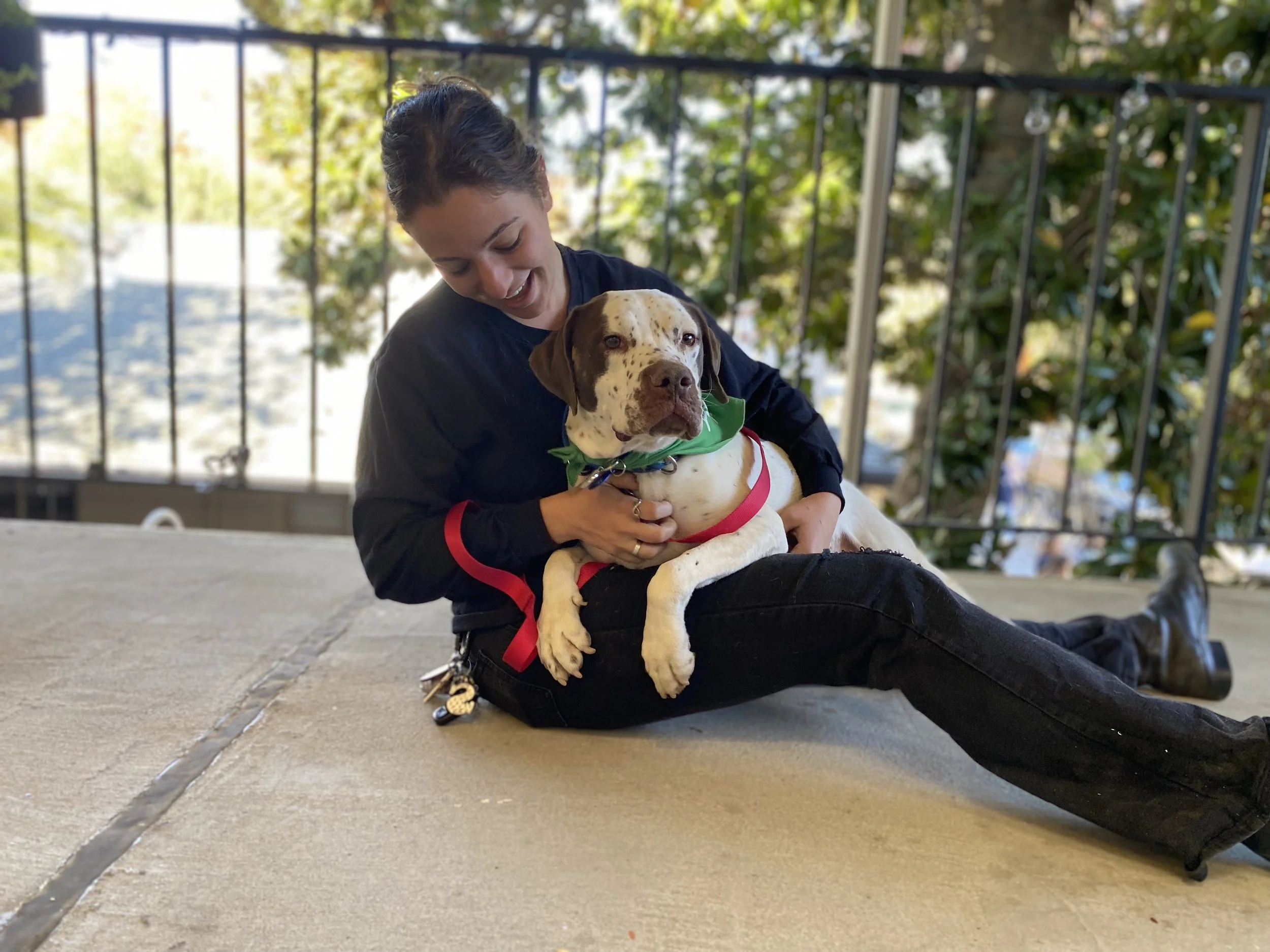 Dog Adoption Event at Eiar Studio (Davis, CA)