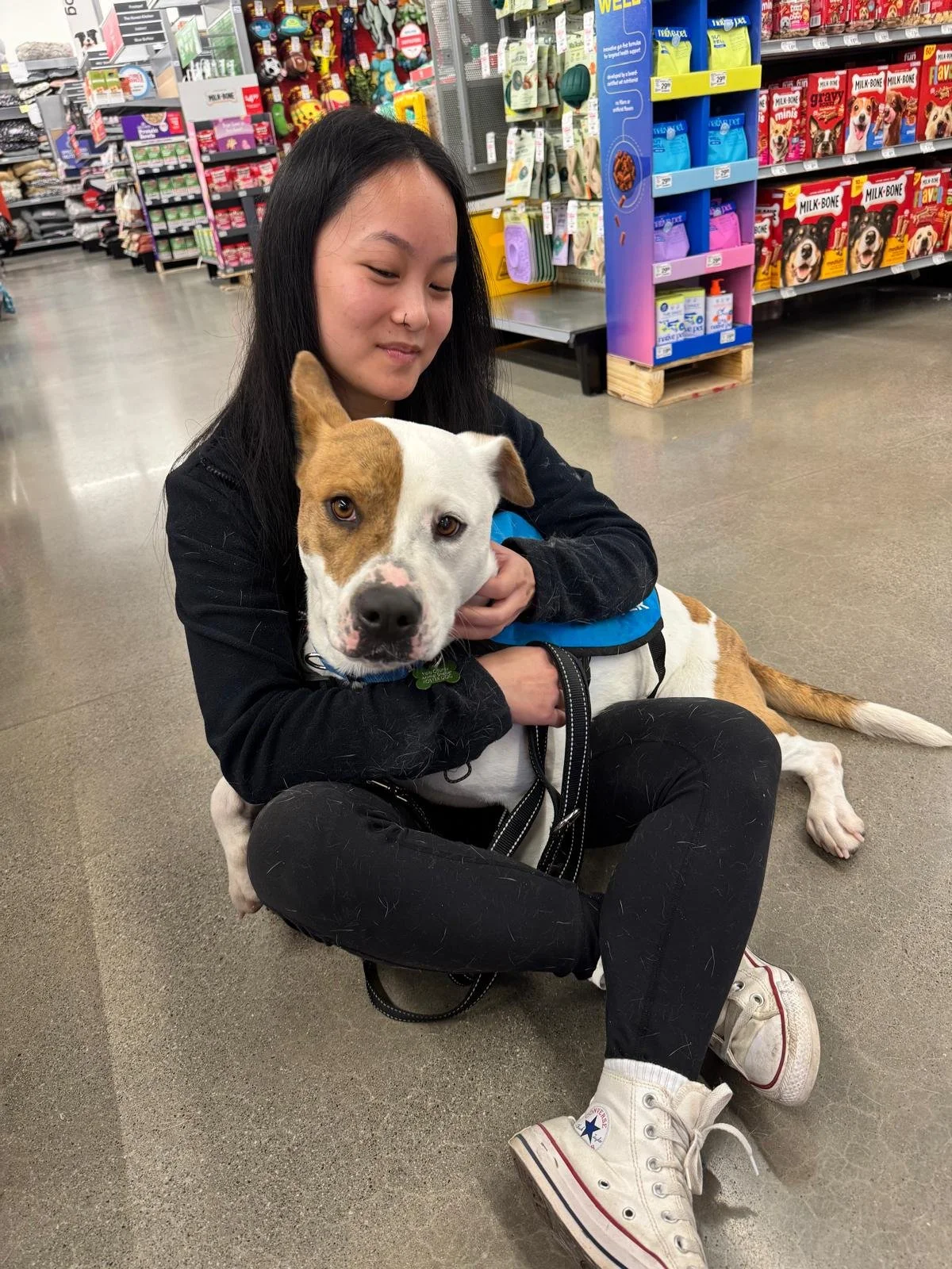 Dog Adoption Event at PetSmart Davis