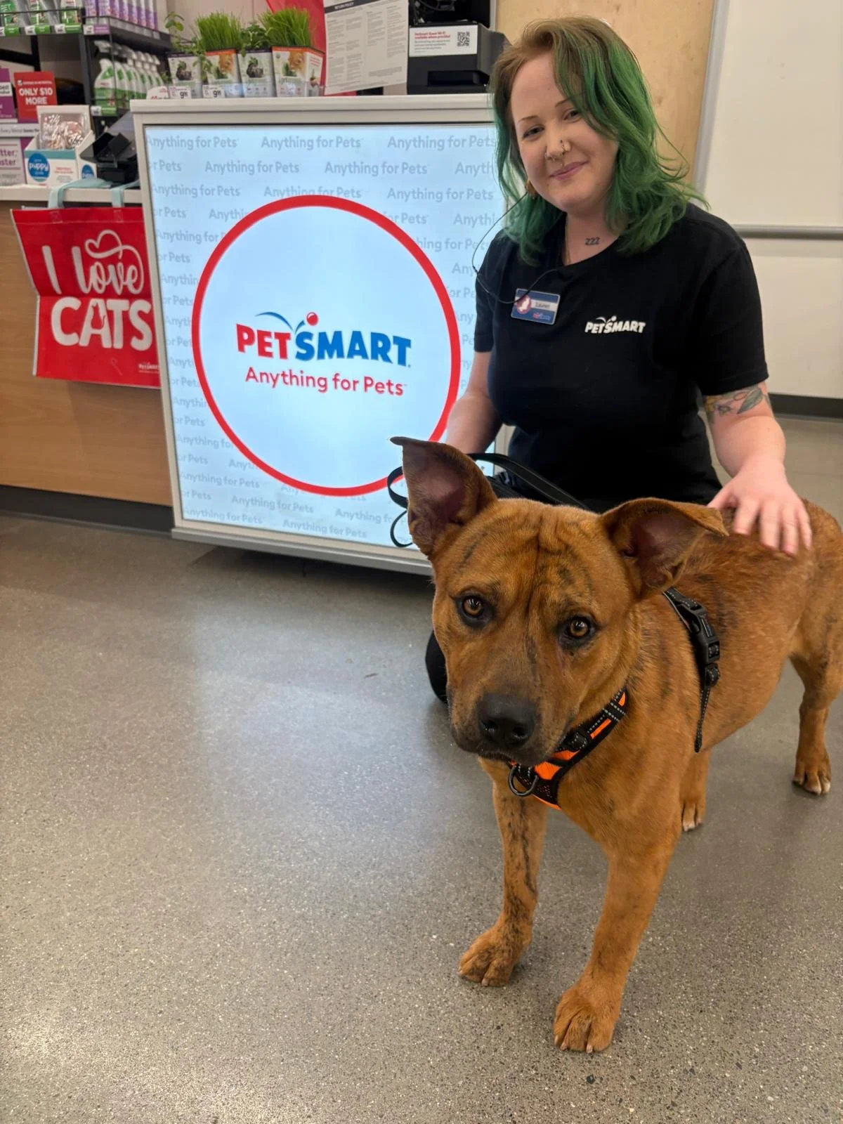 National Adoption Week x PetSmart Davis
