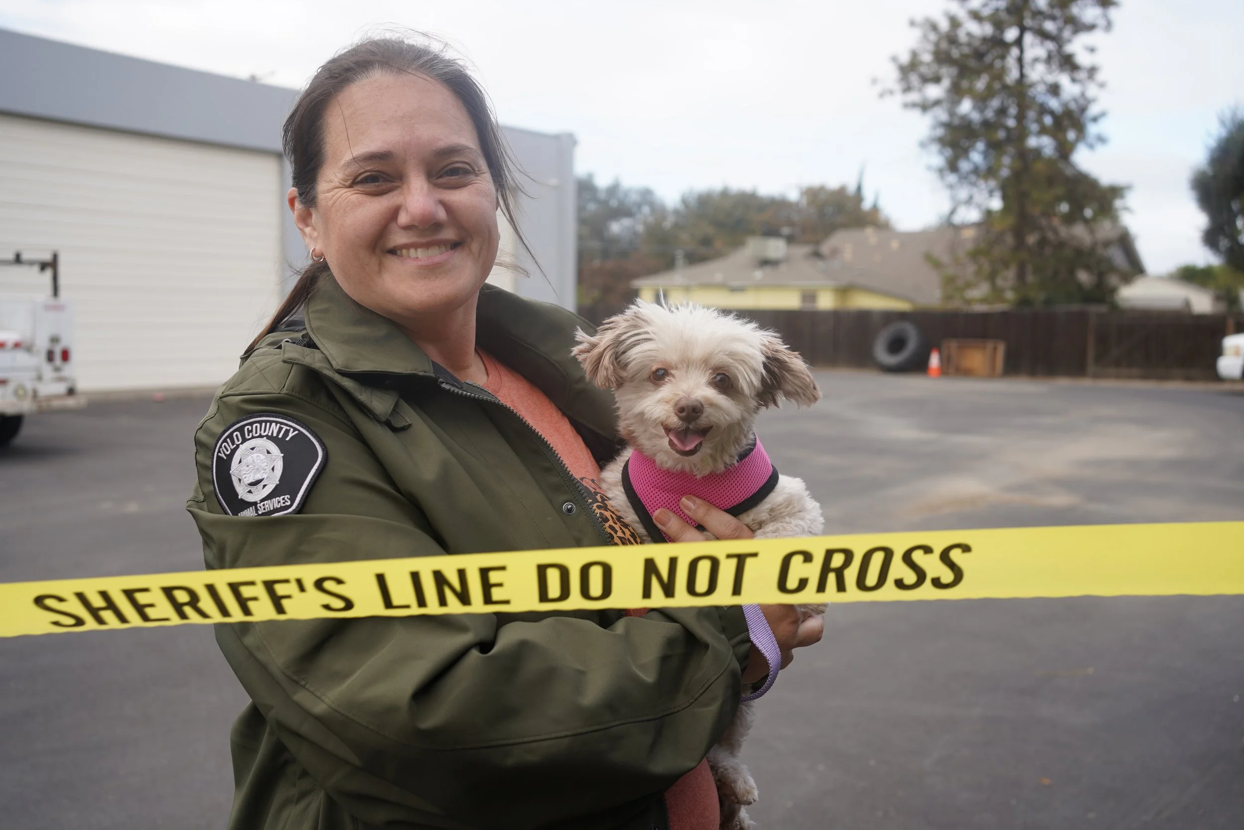 Free Vaccine and Microchip Clinic for Dogs and Cats