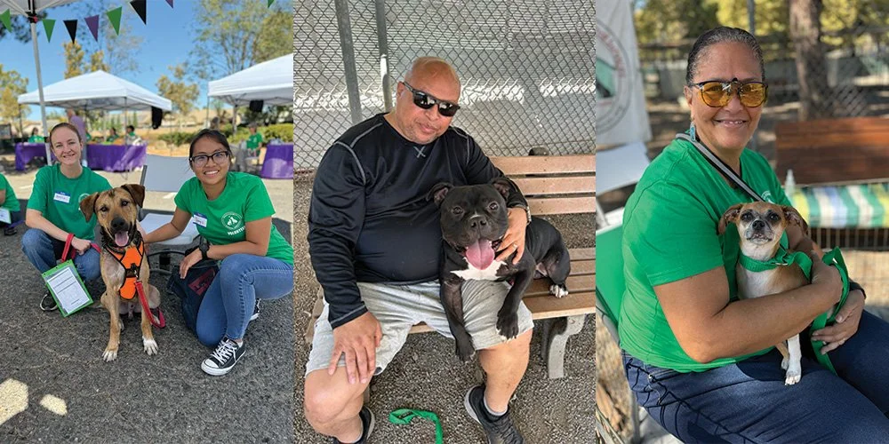 Empty the Shelter: Adoption Event