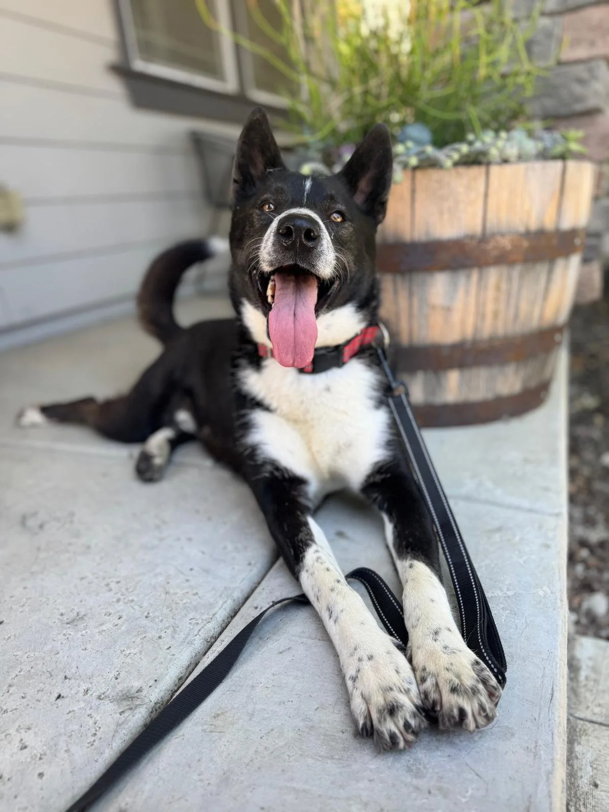 WhatsApp Image 2025-06-30 at 11.22.09.jpeg