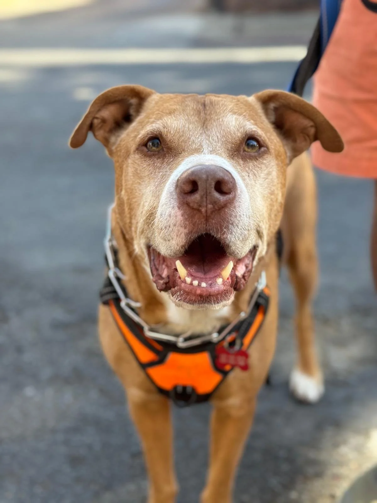 WhatsApp Image 2025-09-27 at 15.09.35.jpeg