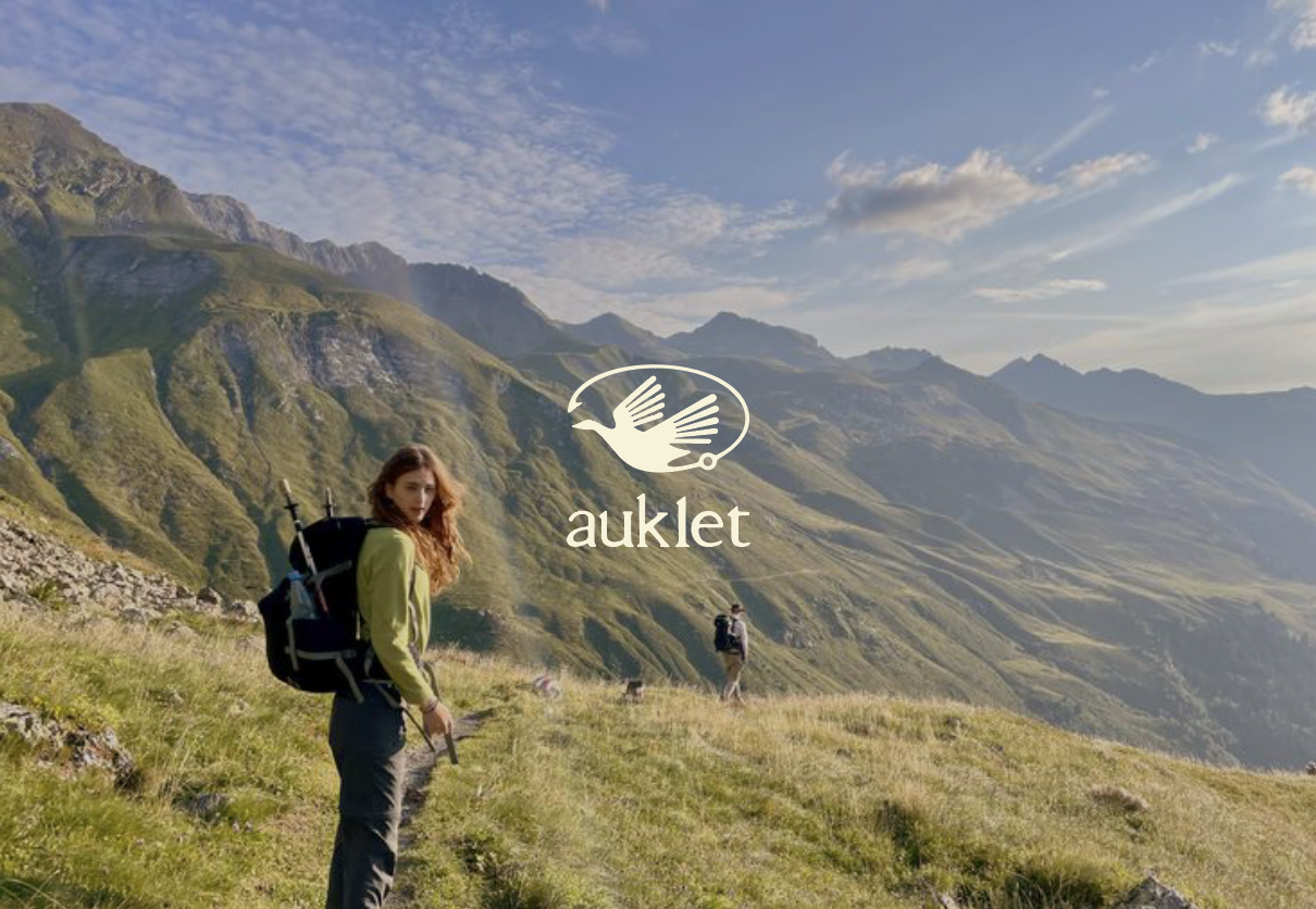 Auklet - Branding