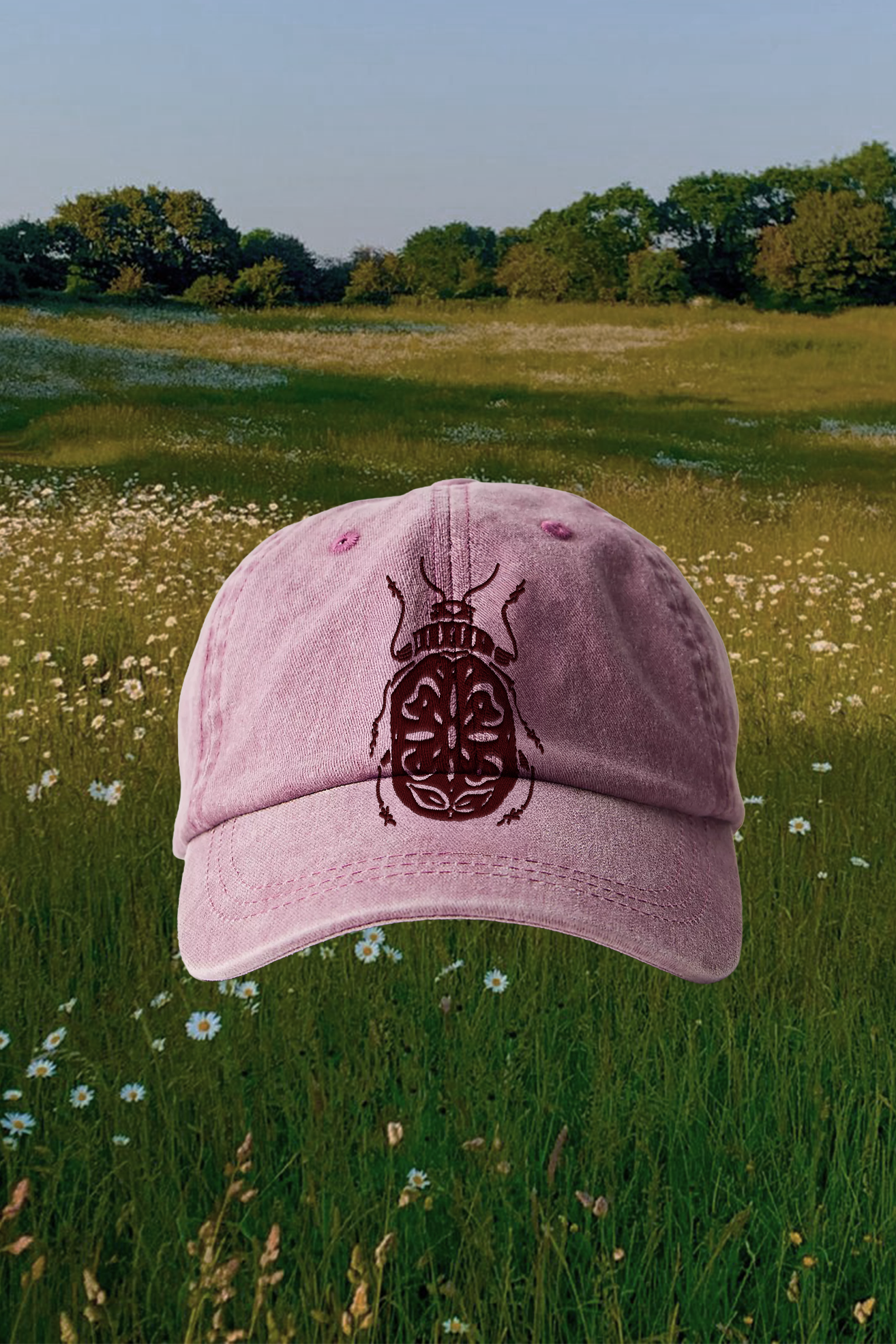 hat1.png
