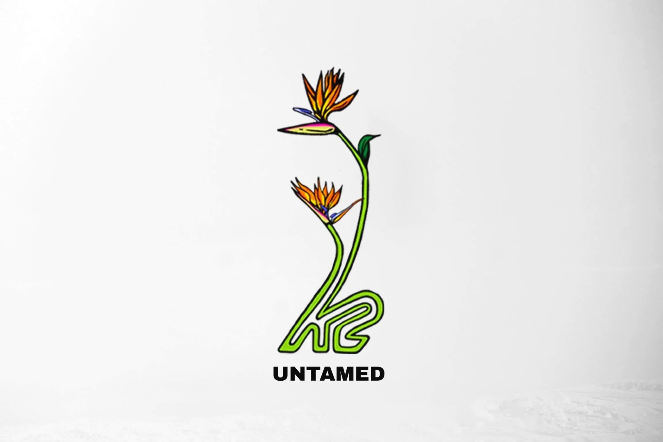 Untamed Series - Snowboard Graphics