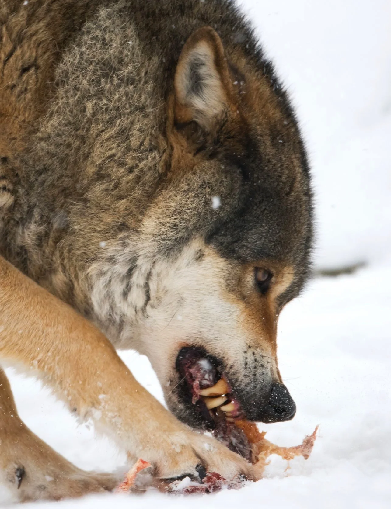 Laurie’s customers, Fernando and Kate embracing by the lake on their wedding day.