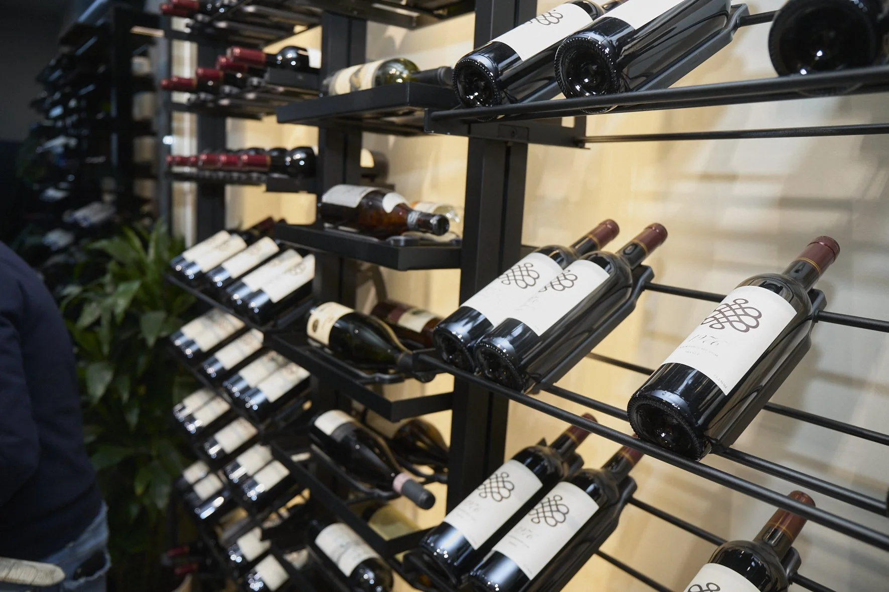 Nella cantina di Alberto Lupetti: la conservazione secondo un’autorità dello Champagne (Copia)