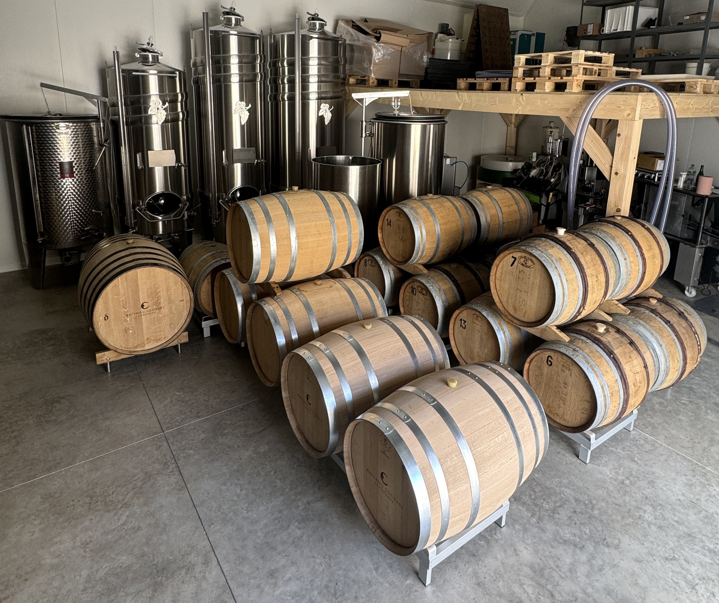 Brut Nature: quando il terroir diventa protagonista&nbsp;