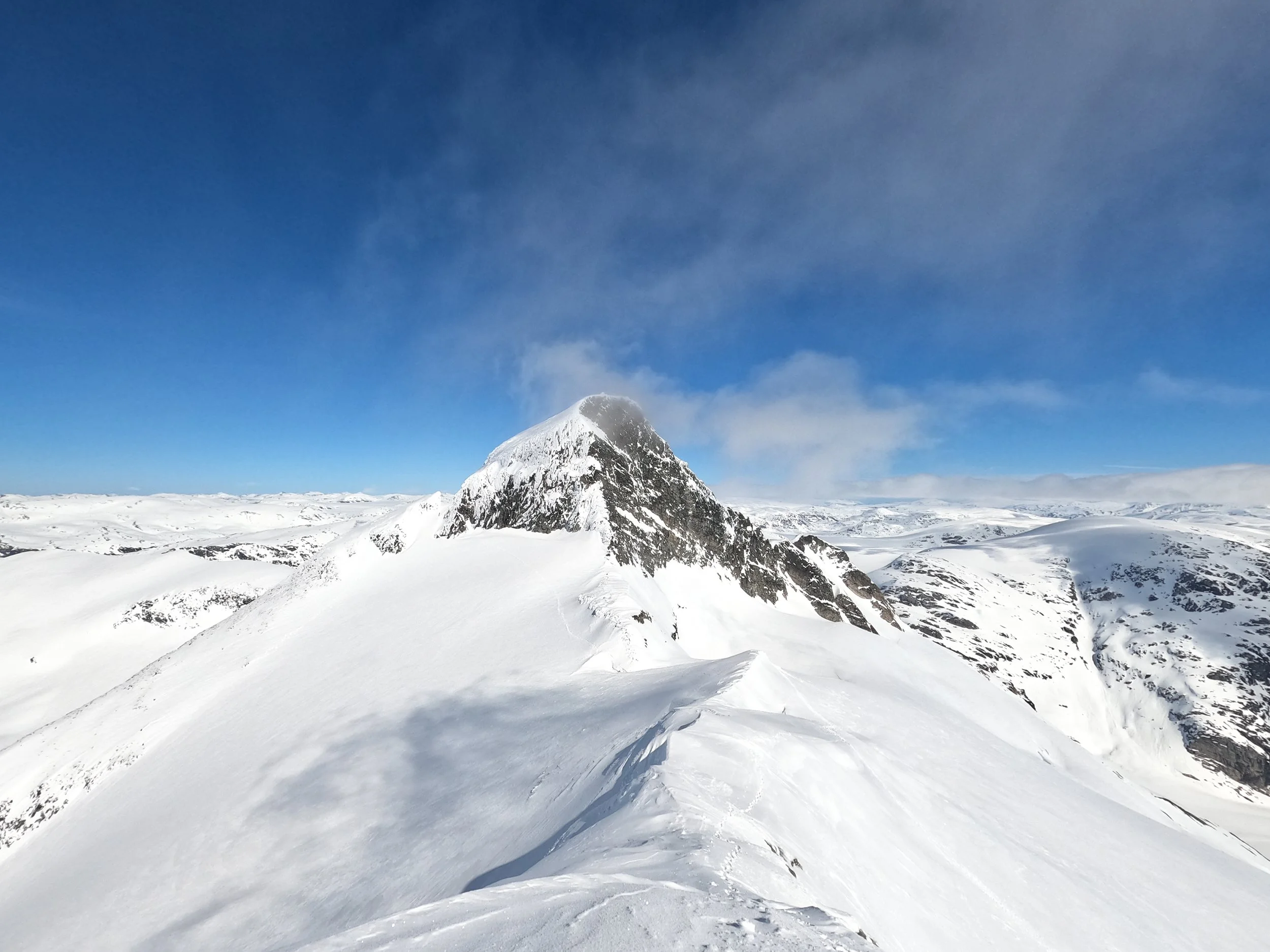 Lodalskåpa på ski