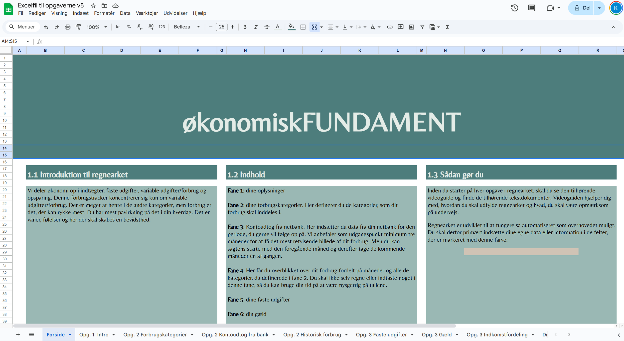 økonomiskFUNDAMENT