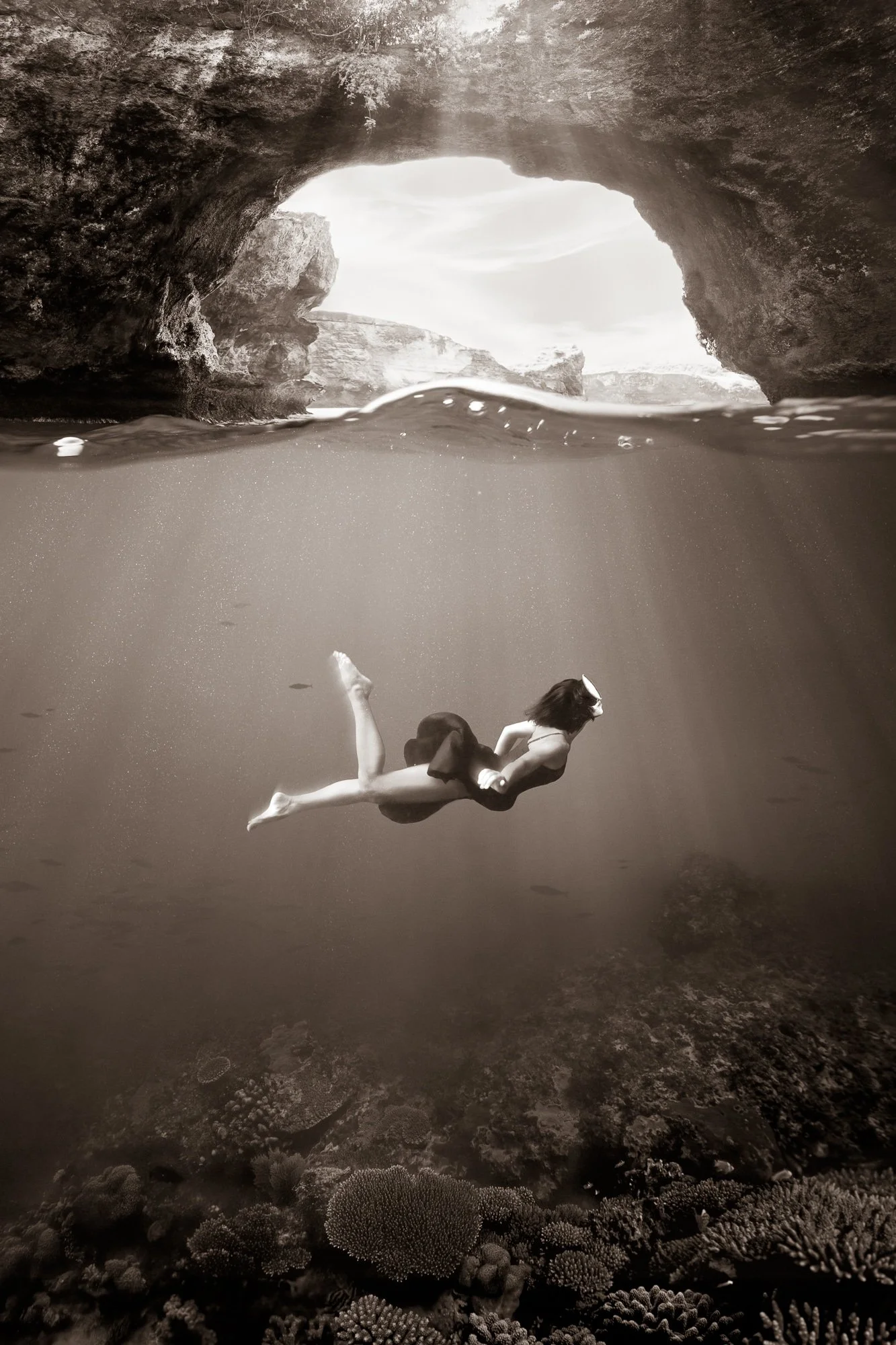 sepia-penida-©CharlotteBories-5-nano.jpg